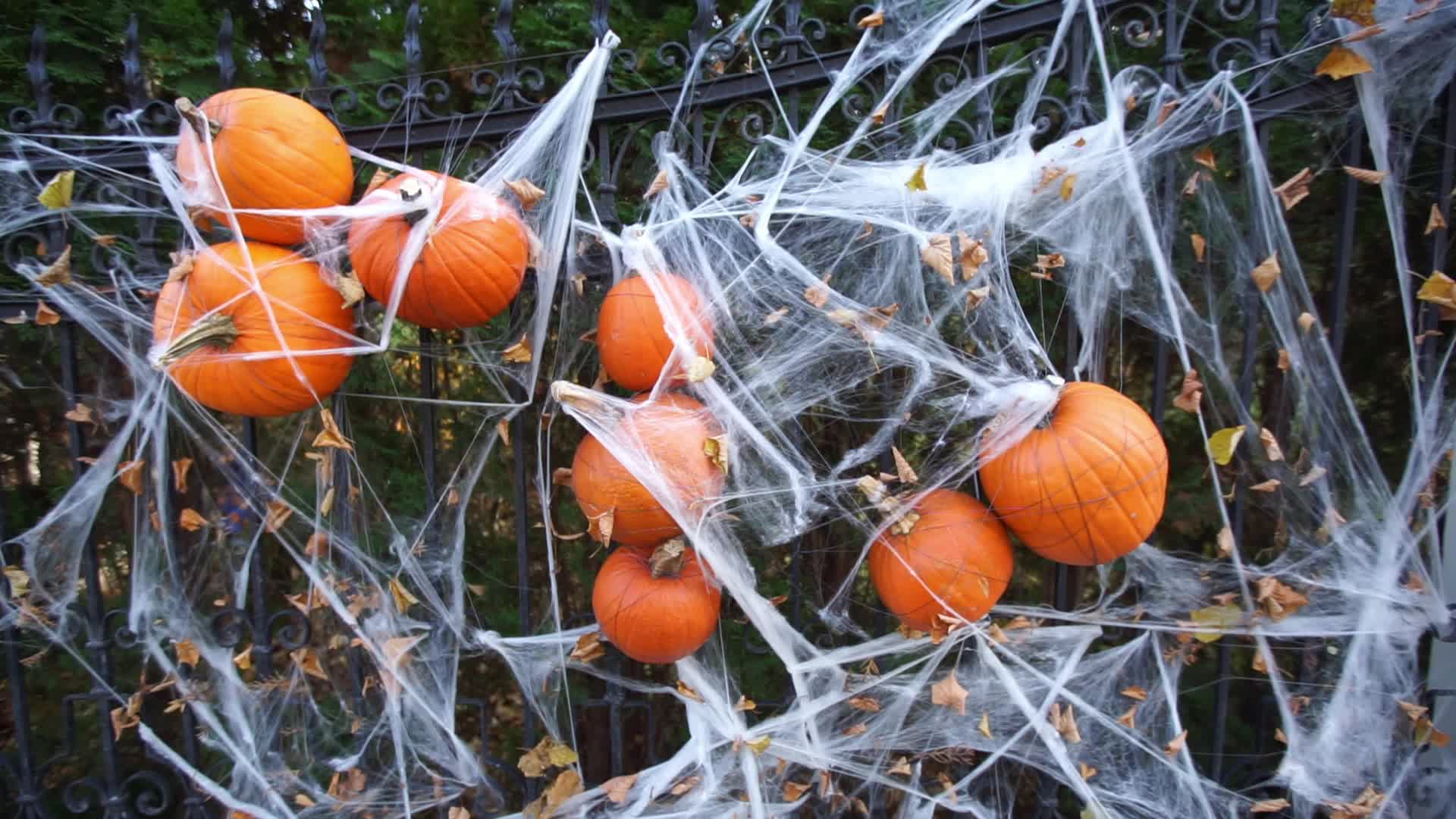 Halloween Decorations In Gdansk, Poland