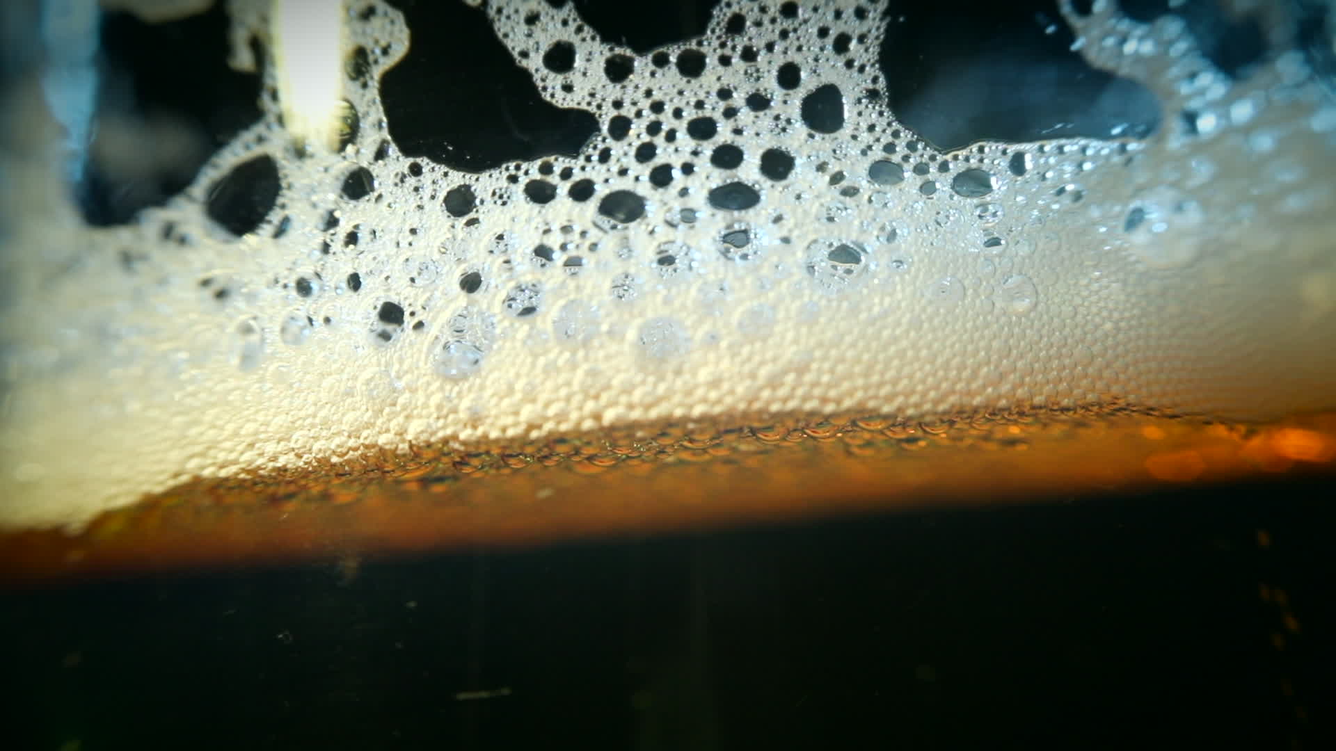Beer Illustration