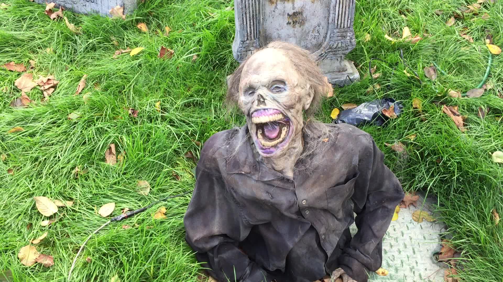 Halloween in Vaughan 