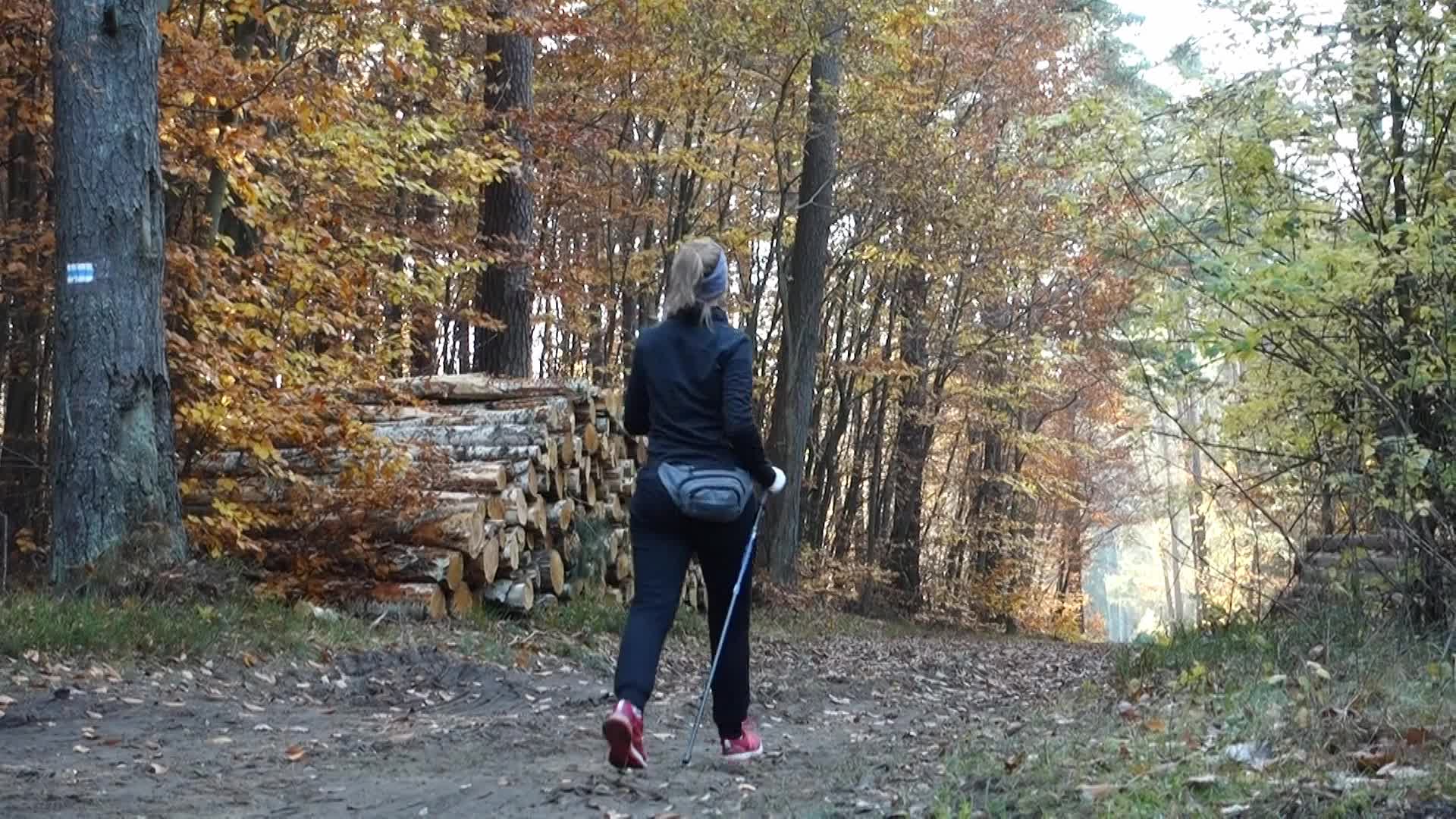 Autumn Colors In Gdansk, Poland