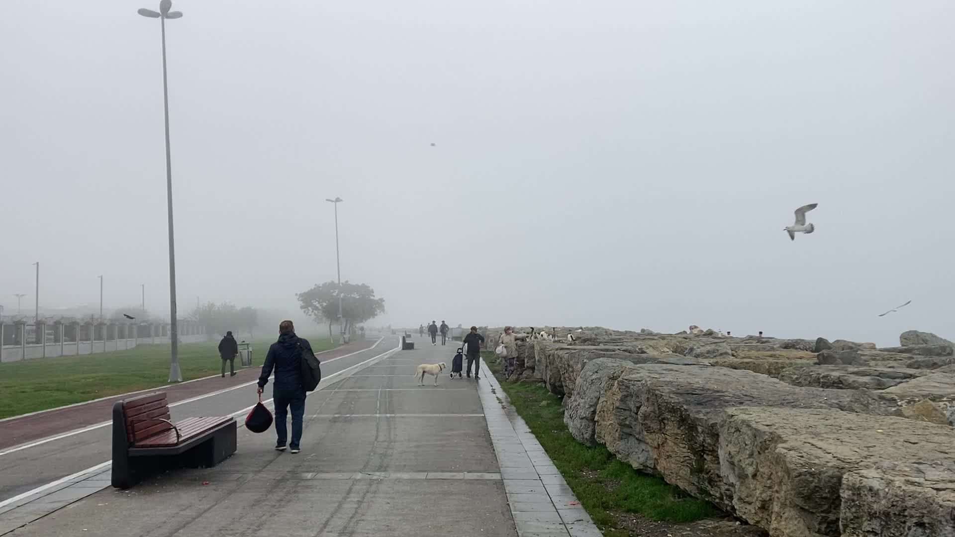 Fog in Istanbul