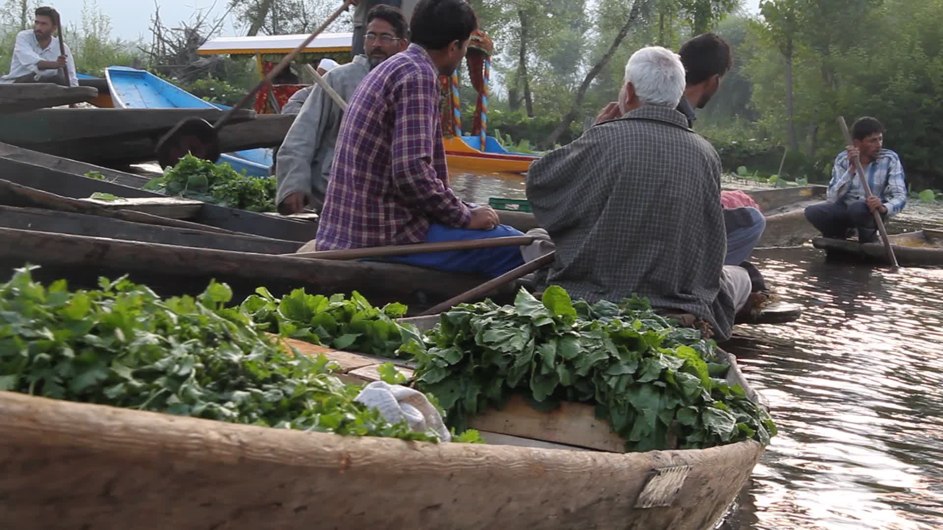 Floating vegetable market on Dal Lake in Srinagar