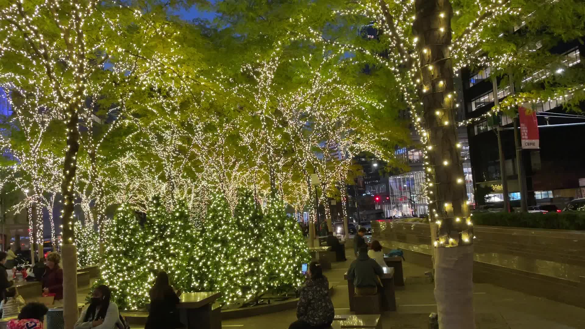 NYC: Zuccotti Park with Lights