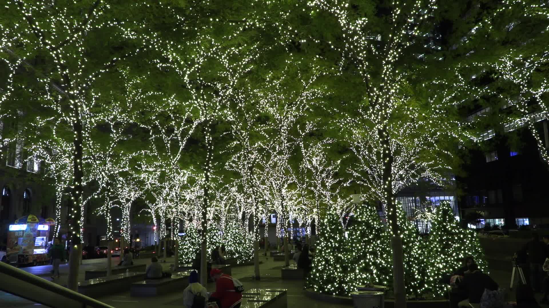 NYC: Zuccotti Park with Lights
