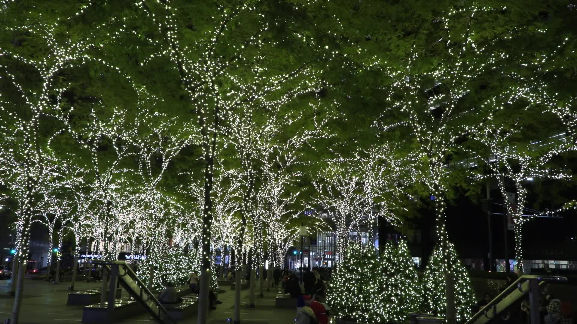 NYC: Zuccotti Park with Lights