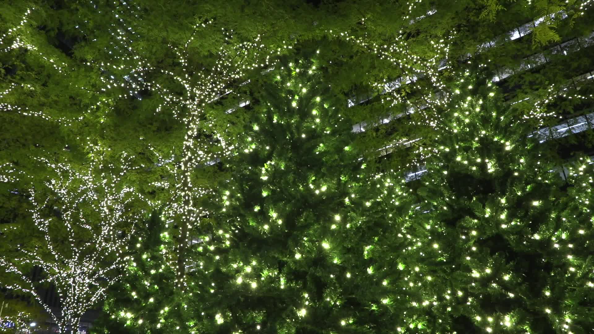 NYC: Zuccotti Park with Lights