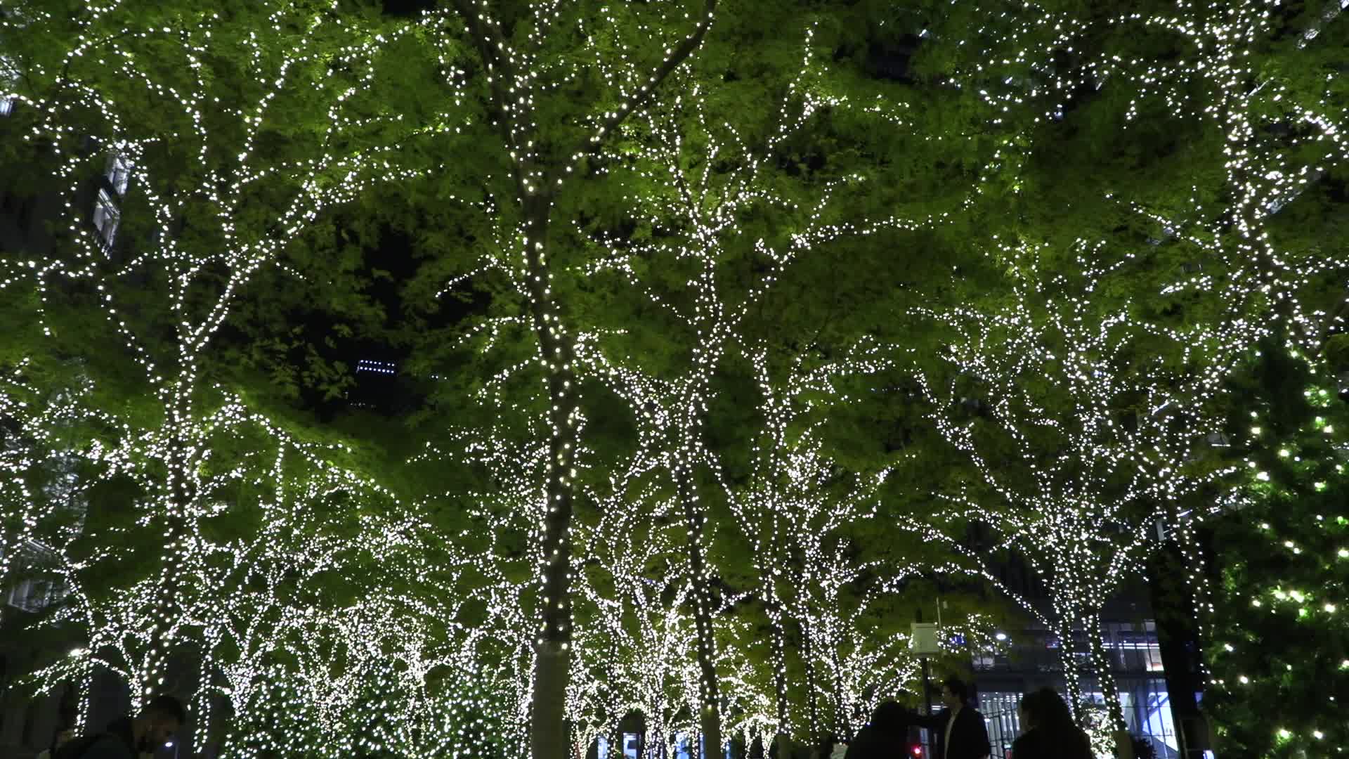 NYC: Zuccotti Park with Lights