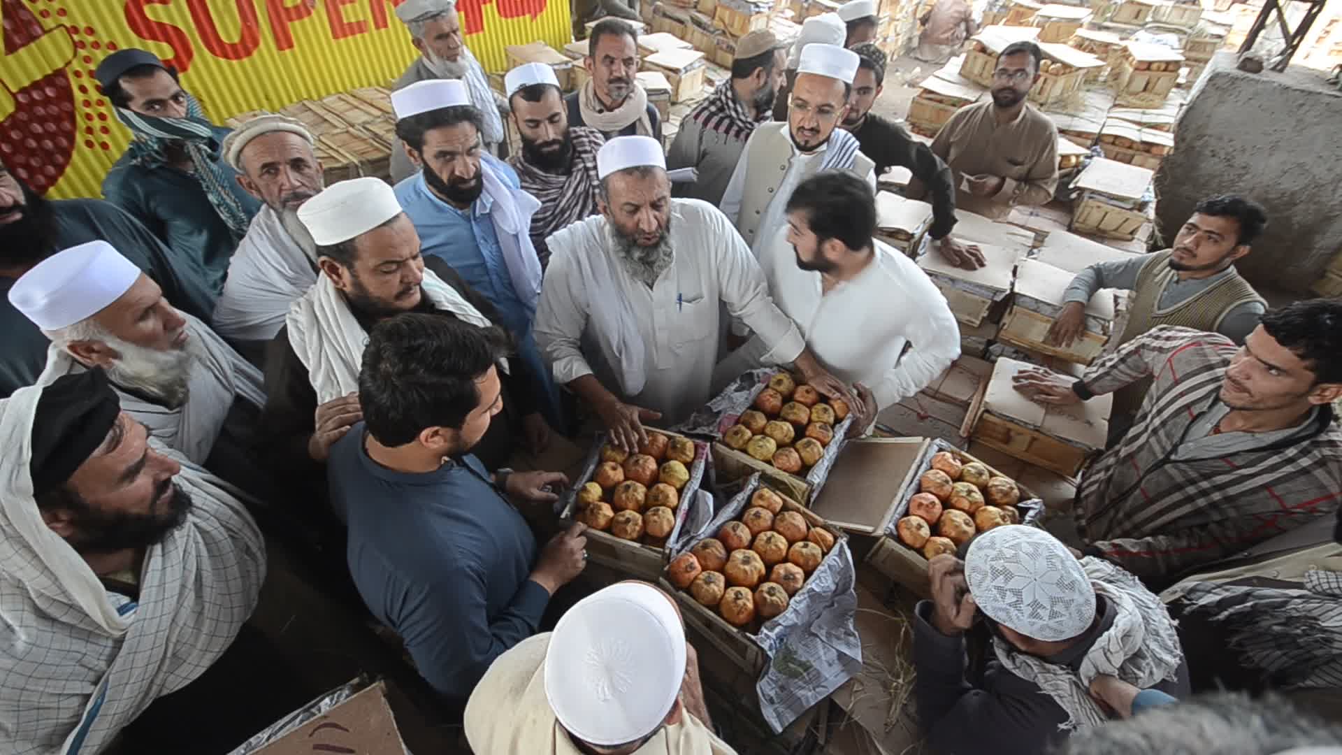 Fruit Market in Peshawar