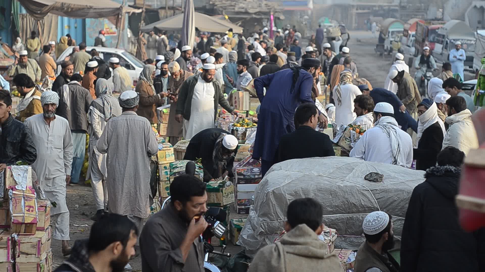 Fruit Market in Peshawar