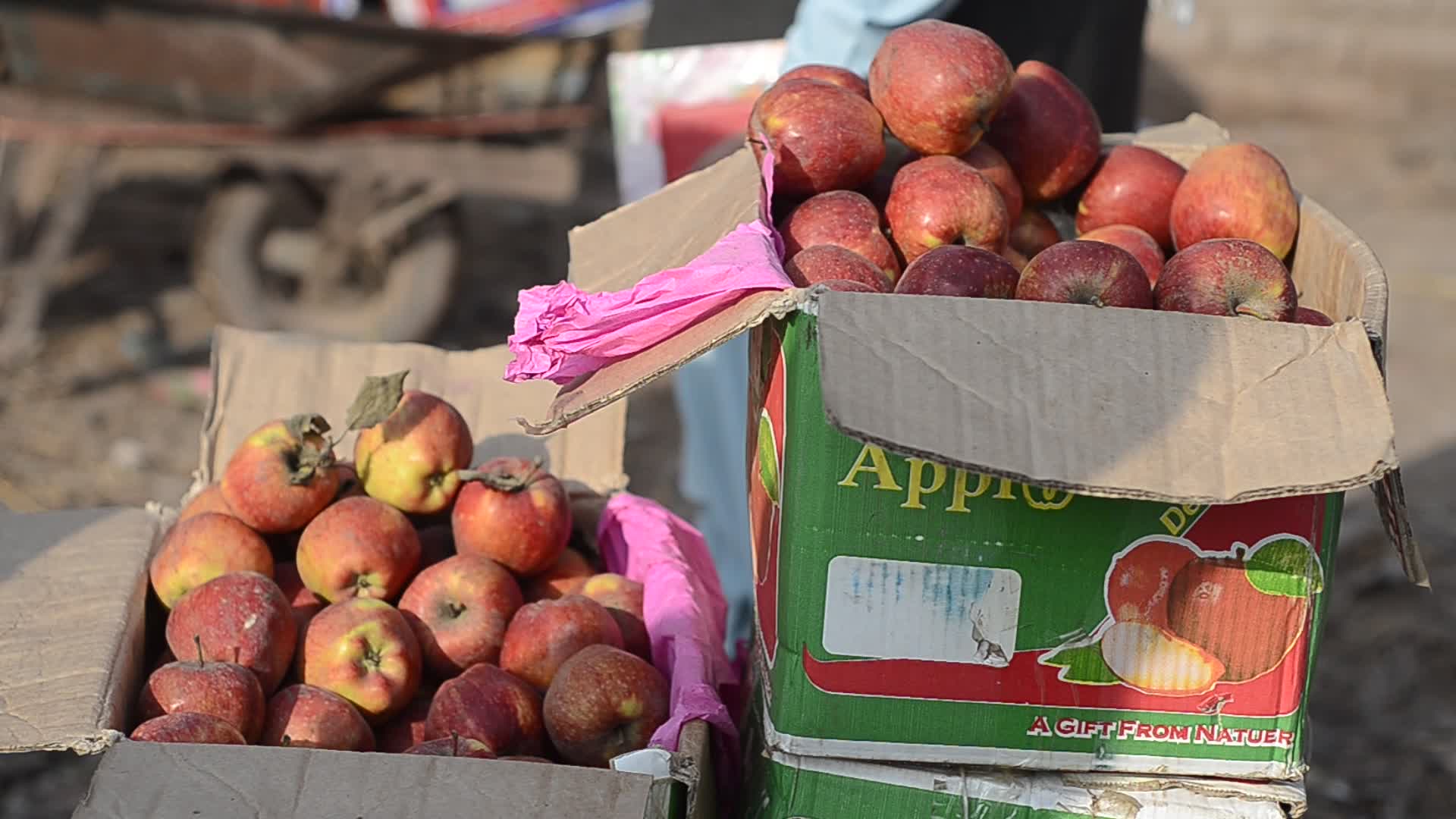 Fruit Market in Peshawar