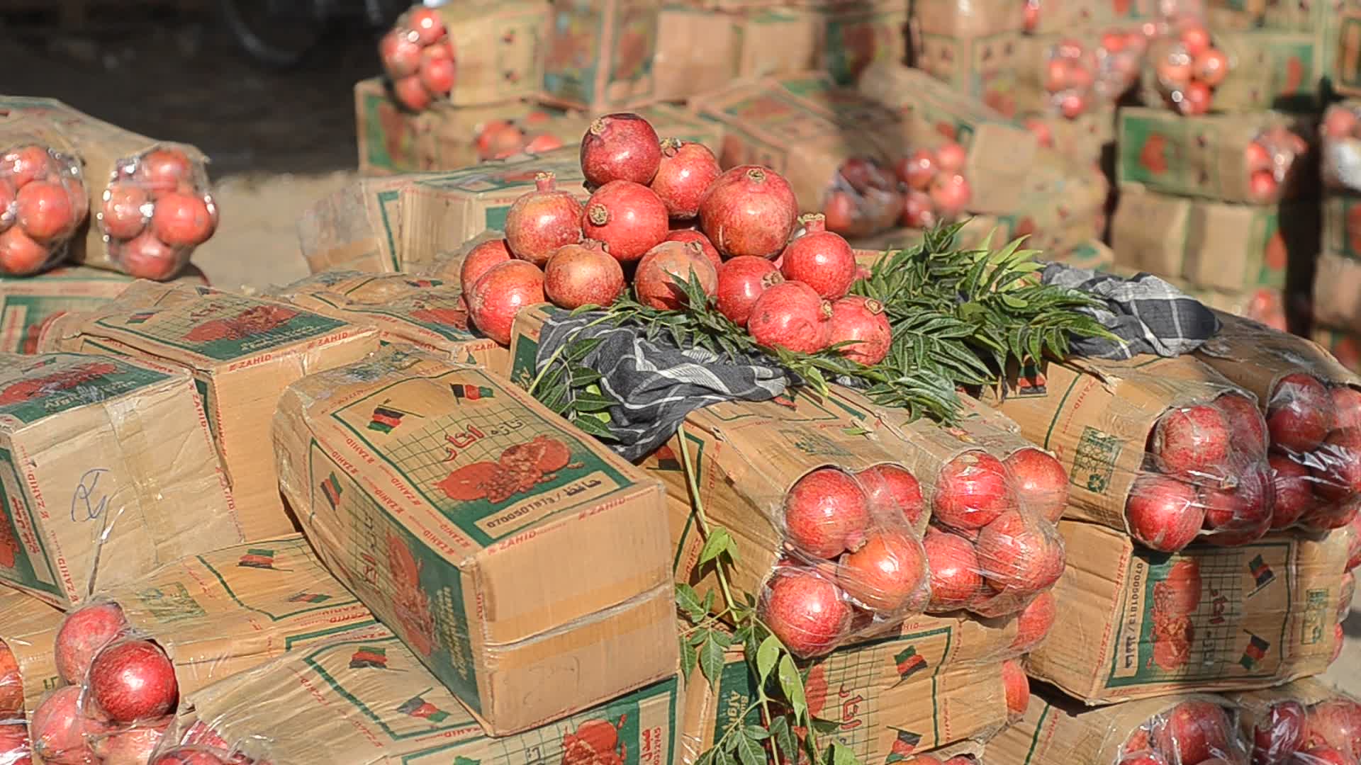 Fruit Market in Peshawar