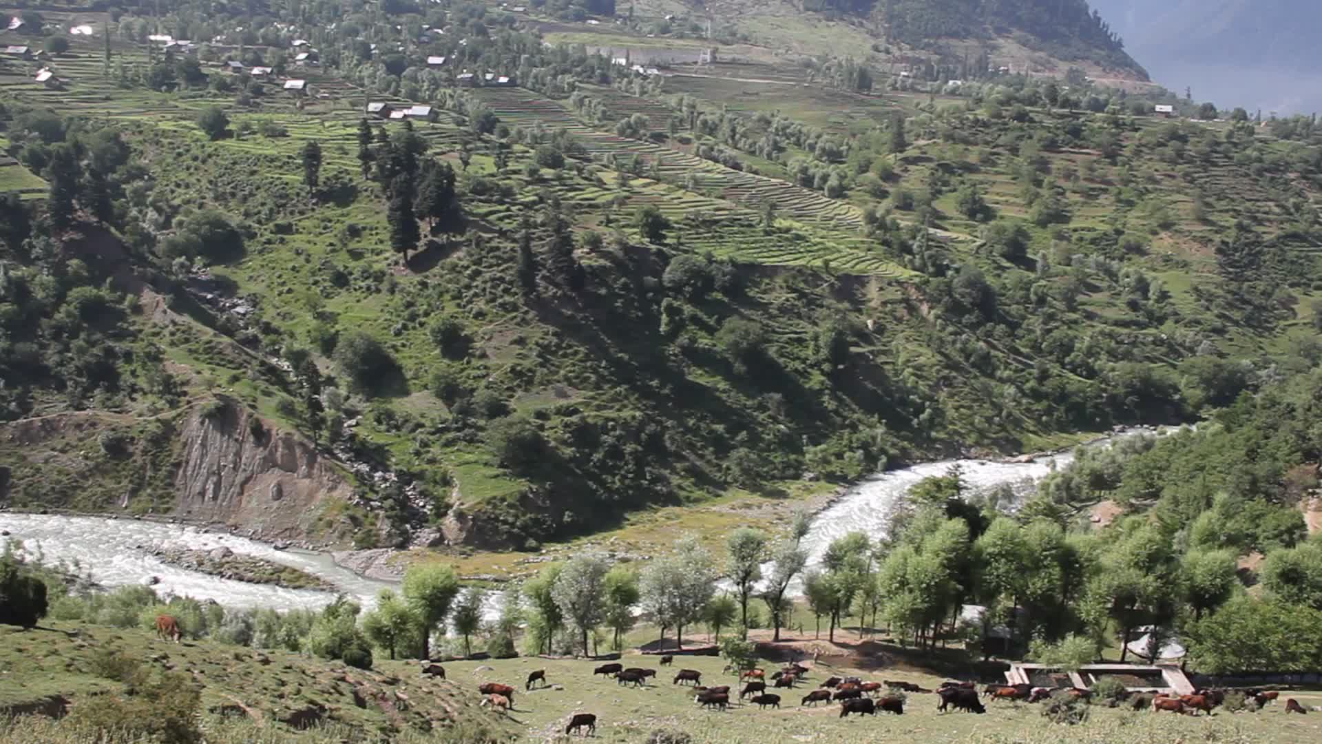 Daily life in Kashmir, India
