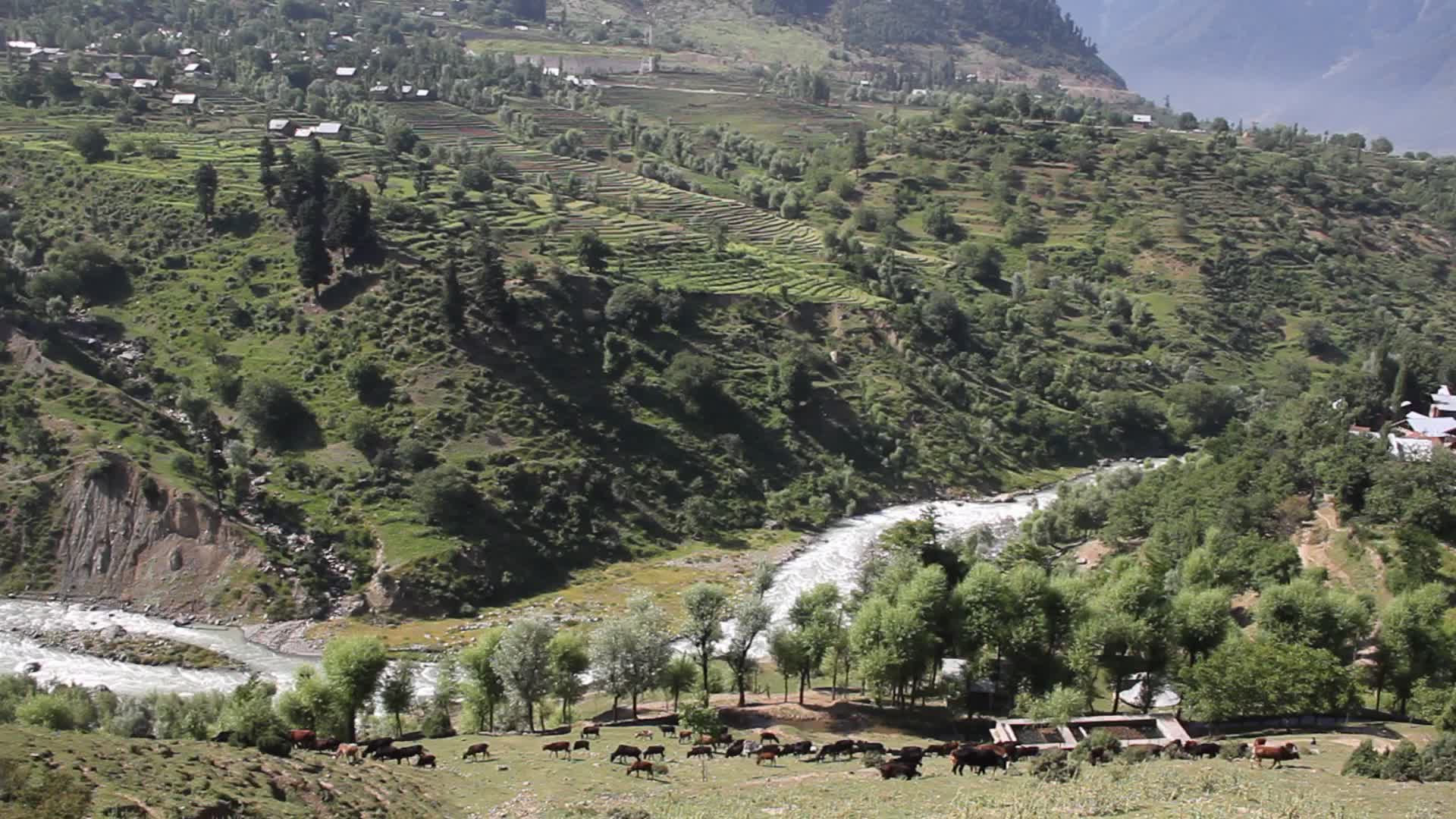 Daily life in Kashmir, India
