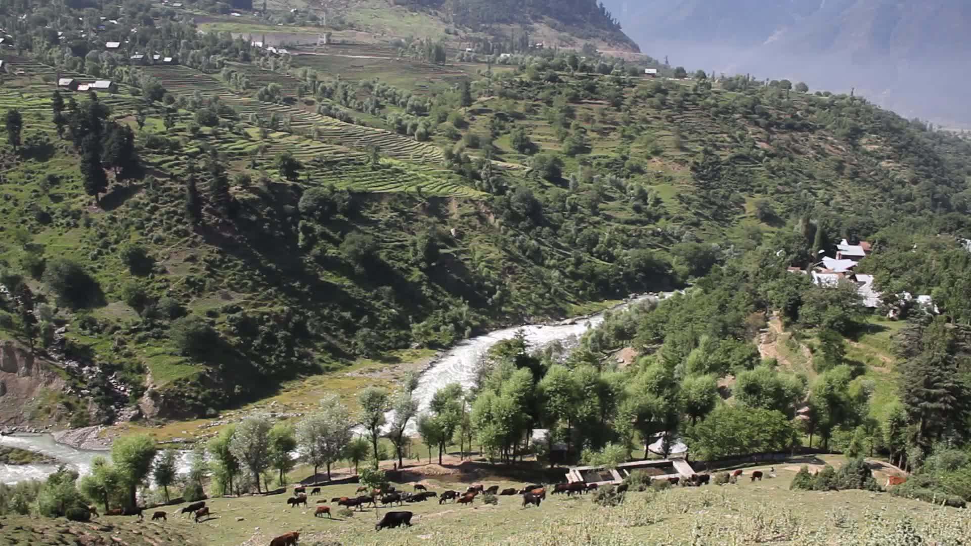 Daily life in Kashmir, India