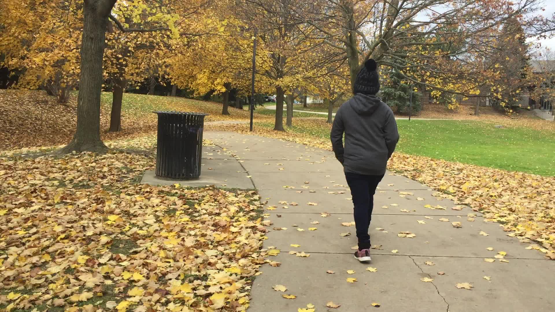 Autumn season in Canada