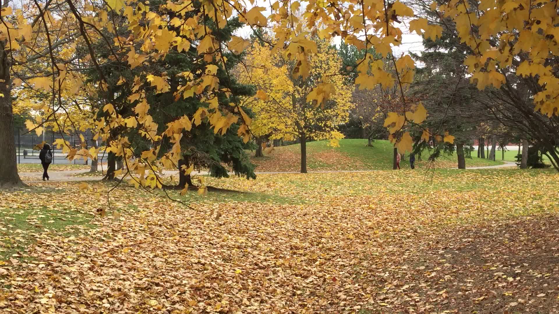 Autumn season in Canada