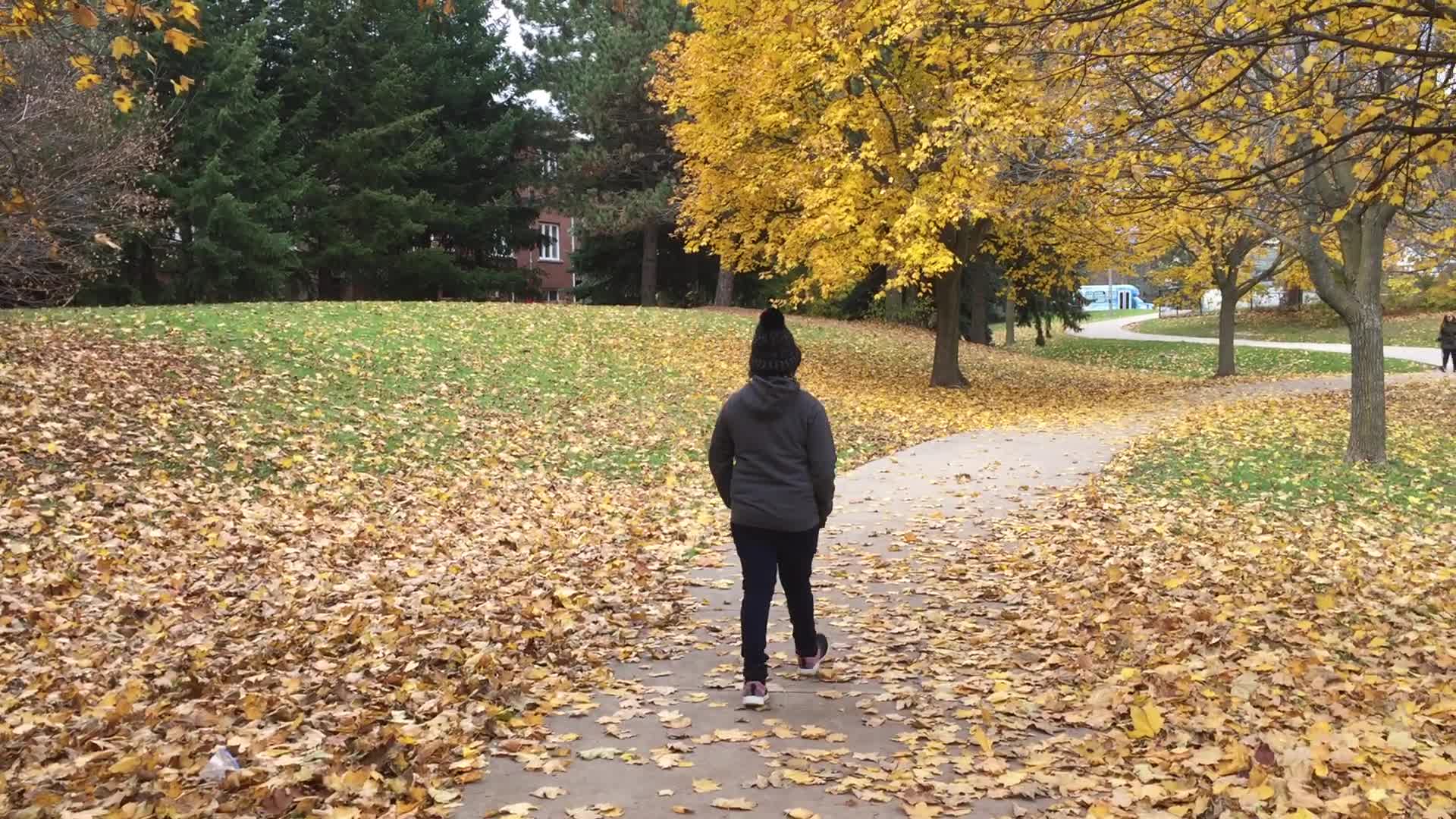 Autumn season in Canada