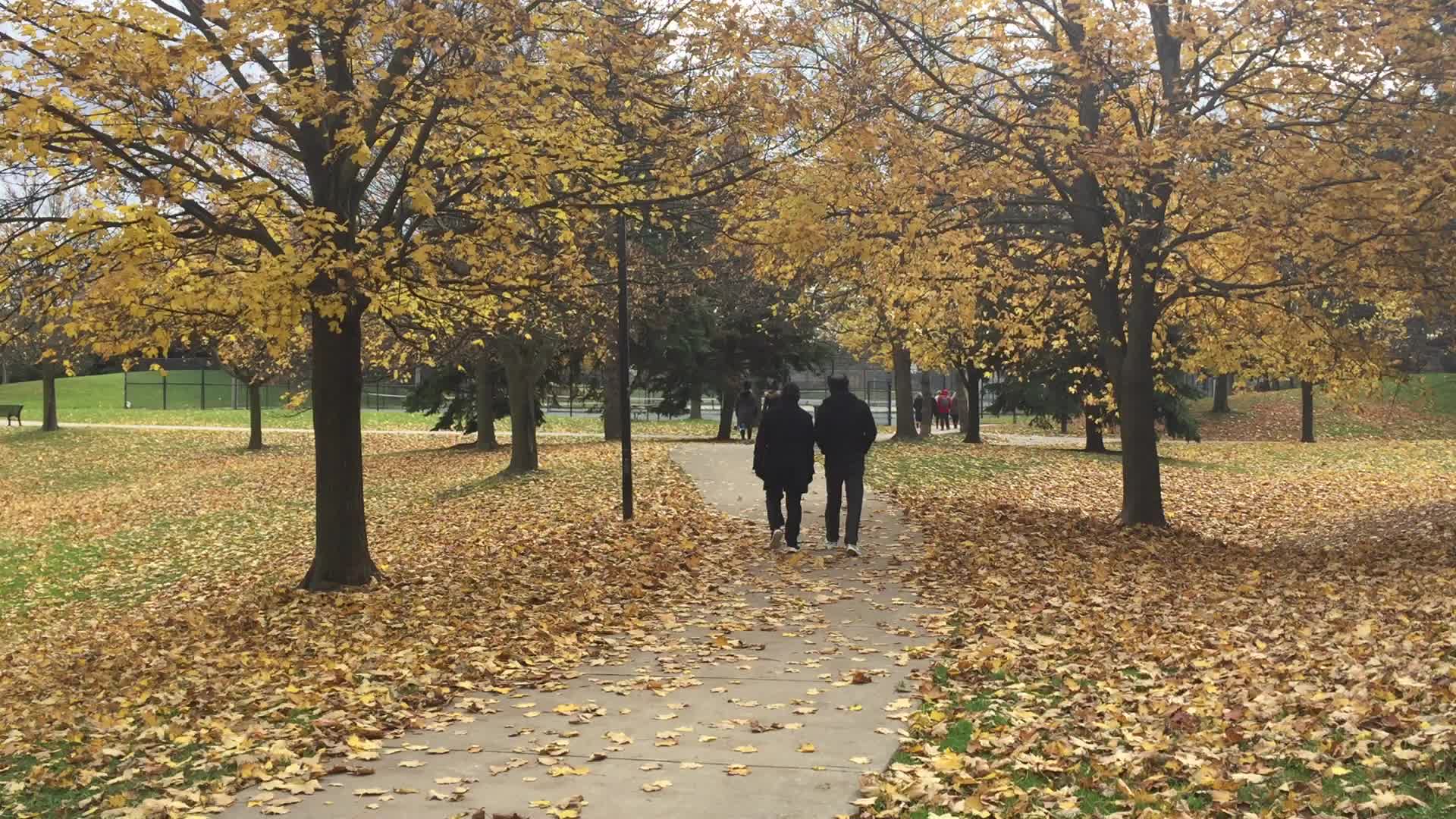 Autumn season in Canada