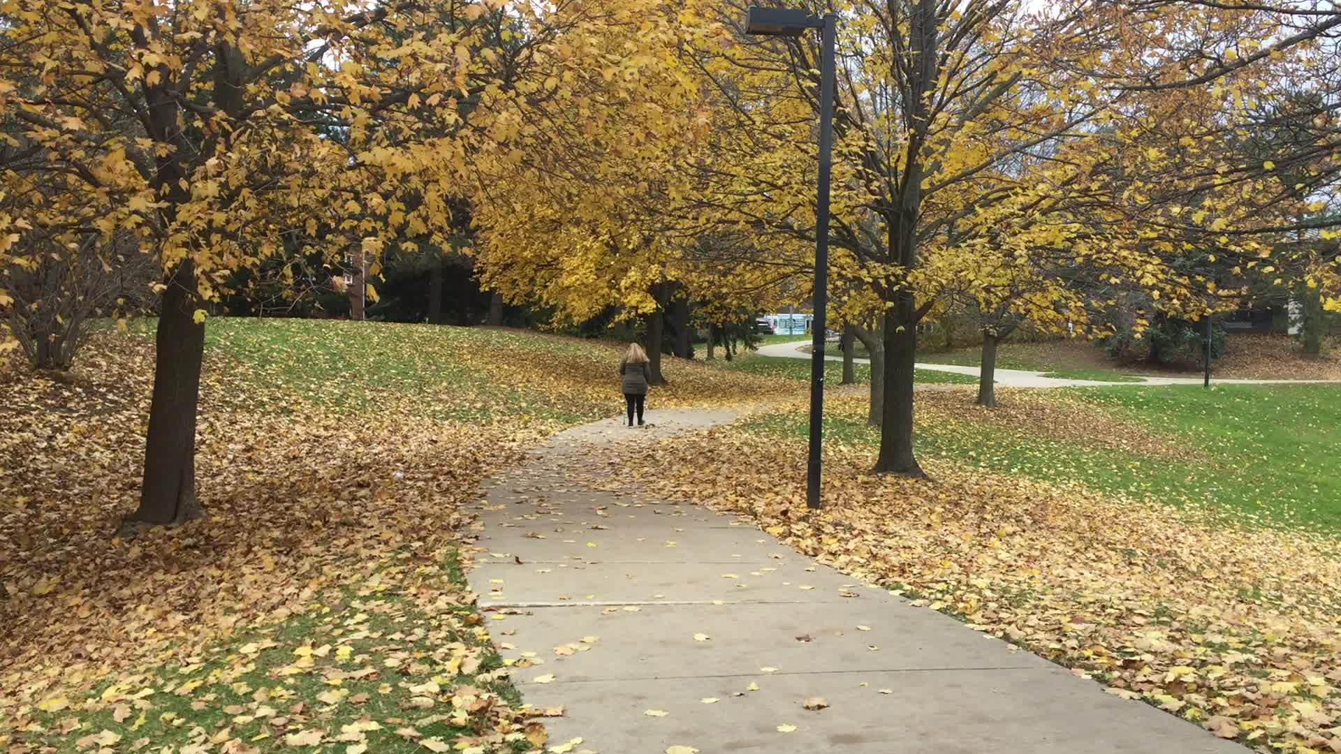 Autumn season in Canada