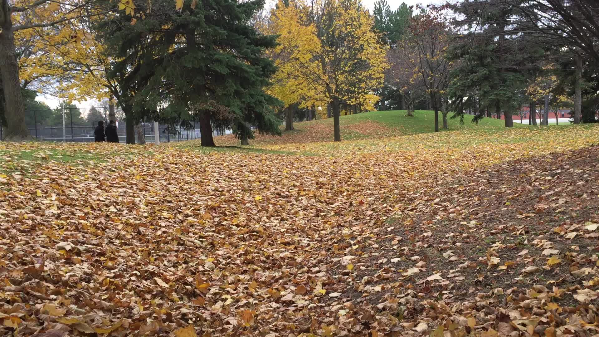 Autumn season in Canada