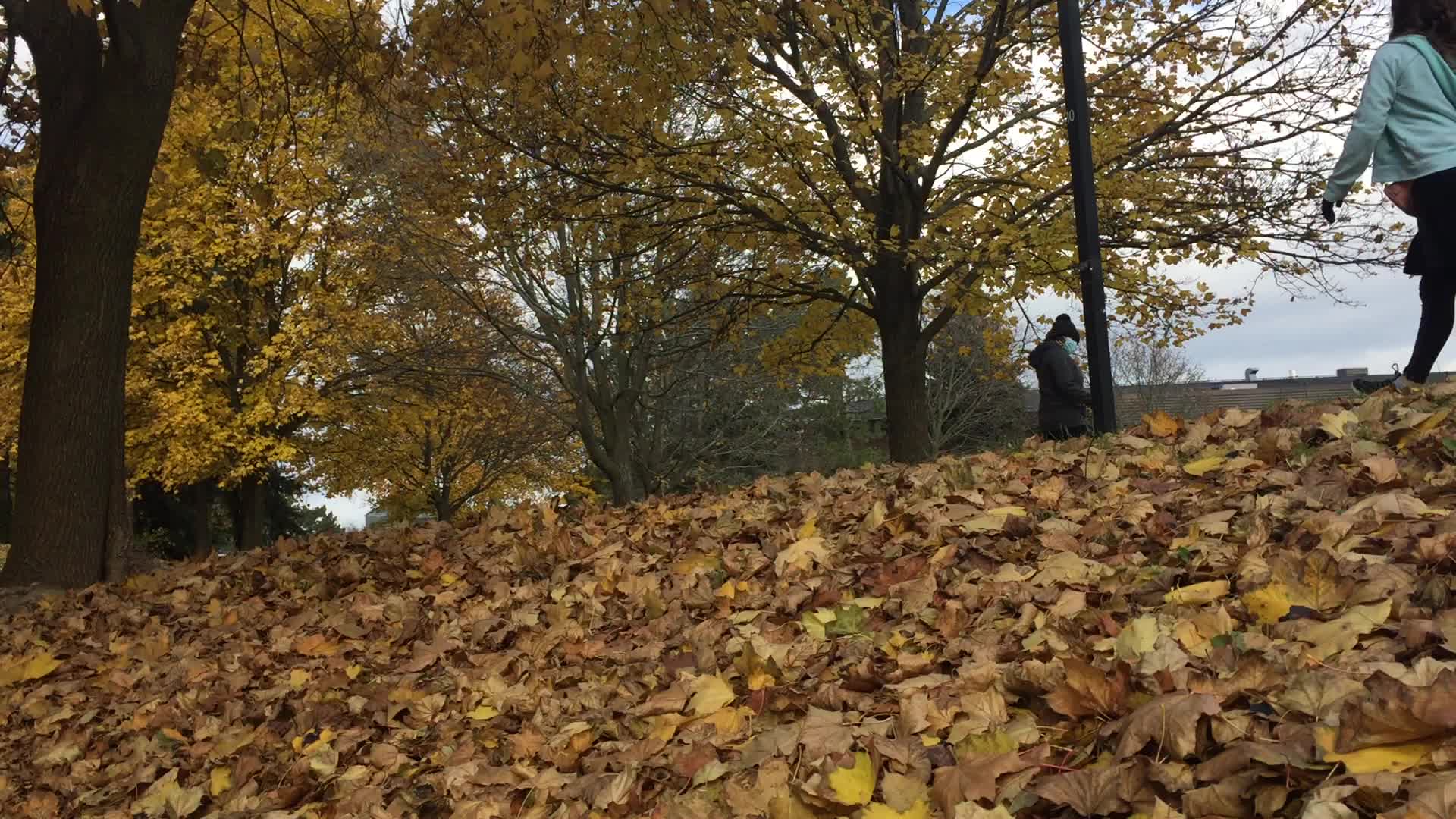Autumn season in Canada