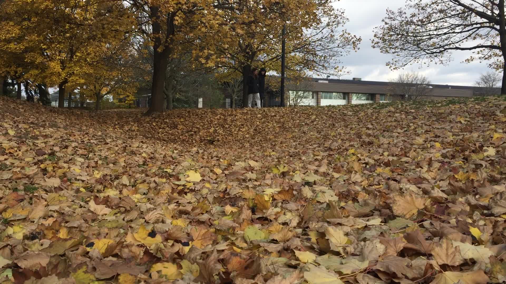 Autumn season in Canada