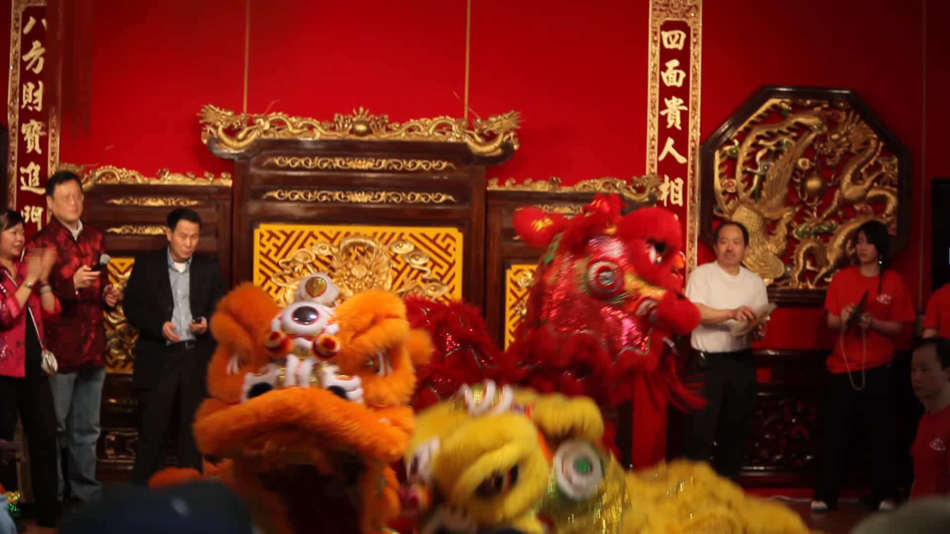 Chinese dancers perform a lion dance during the Chinese New Year