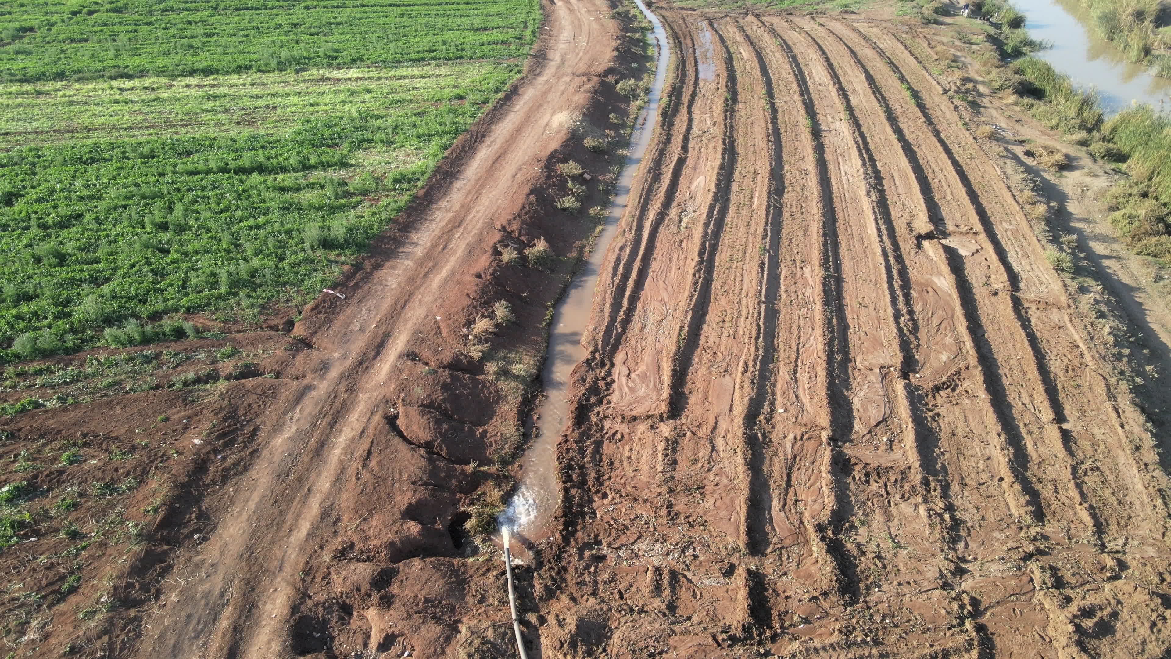 Agricultural fields in northern Syria