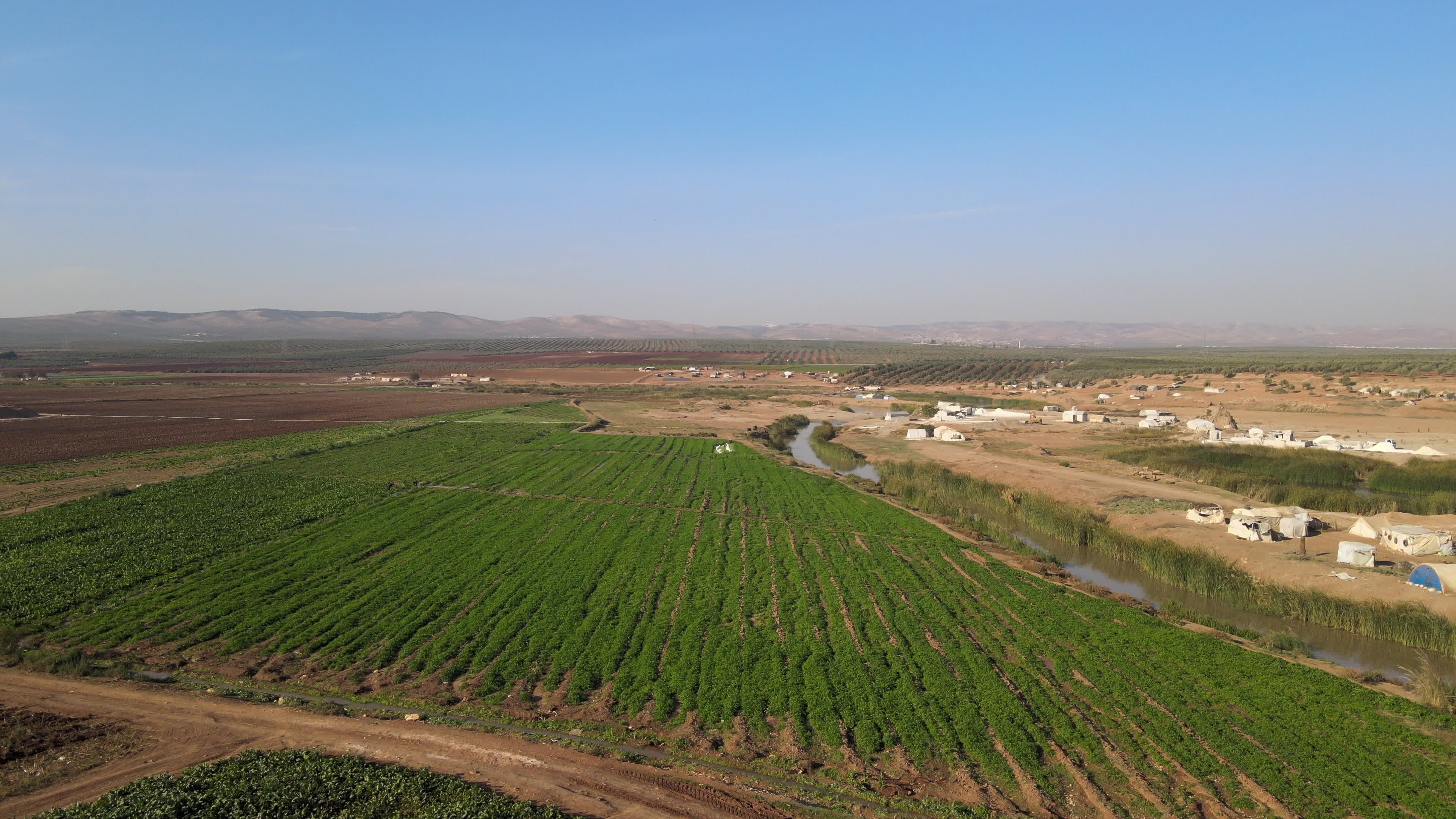 Agricultural fields in northern Syria