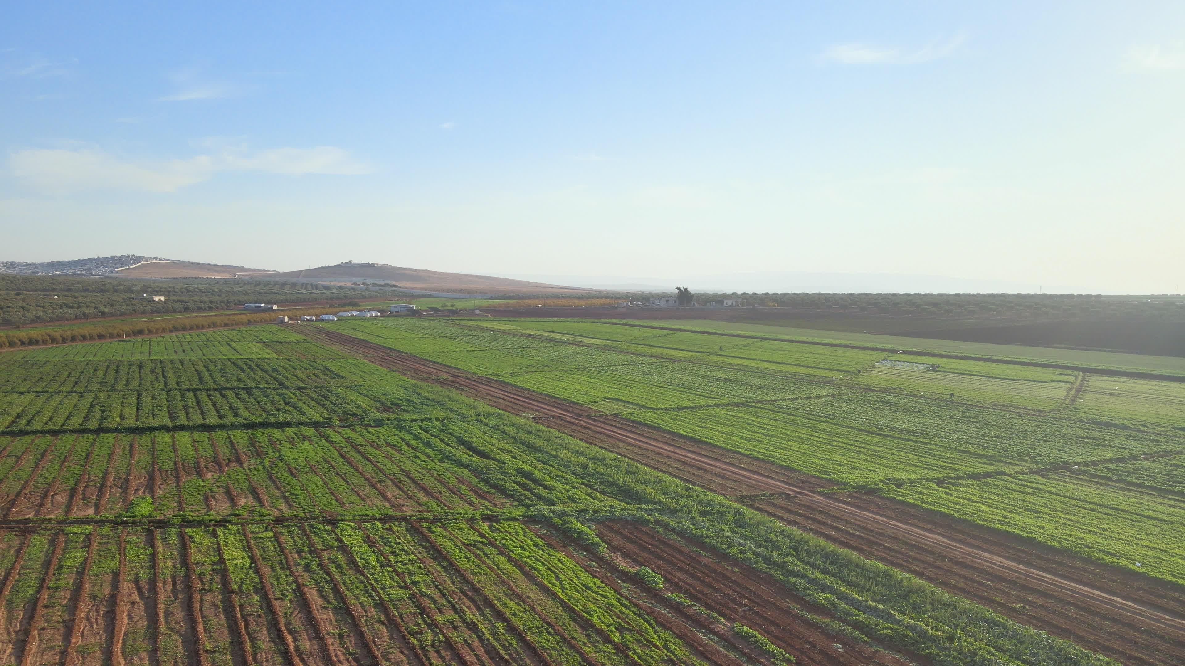 Agricultural fields in northern Syria