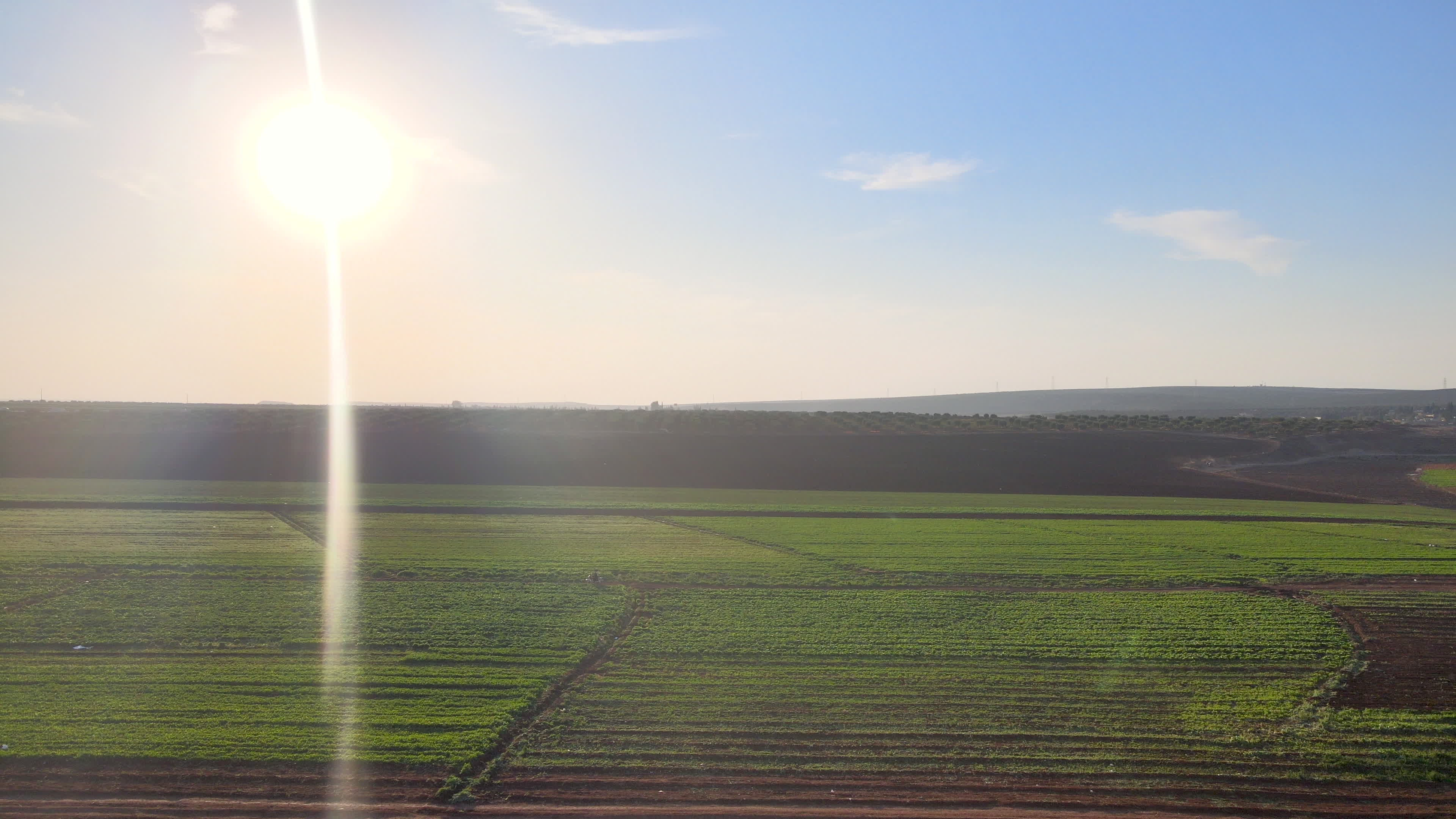 Agricultural fields in northern Syria