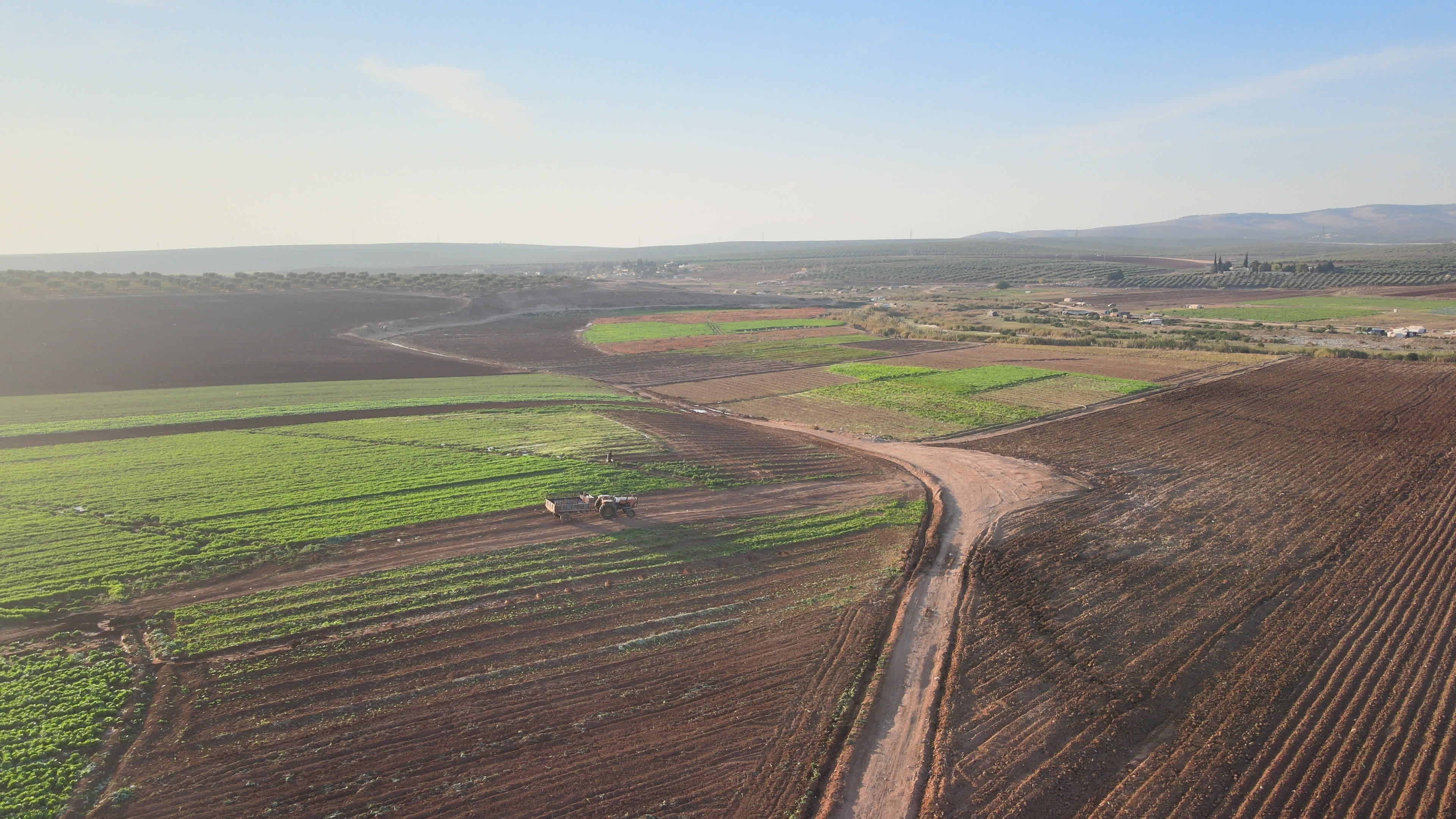 Agricultural fields in northern Syria