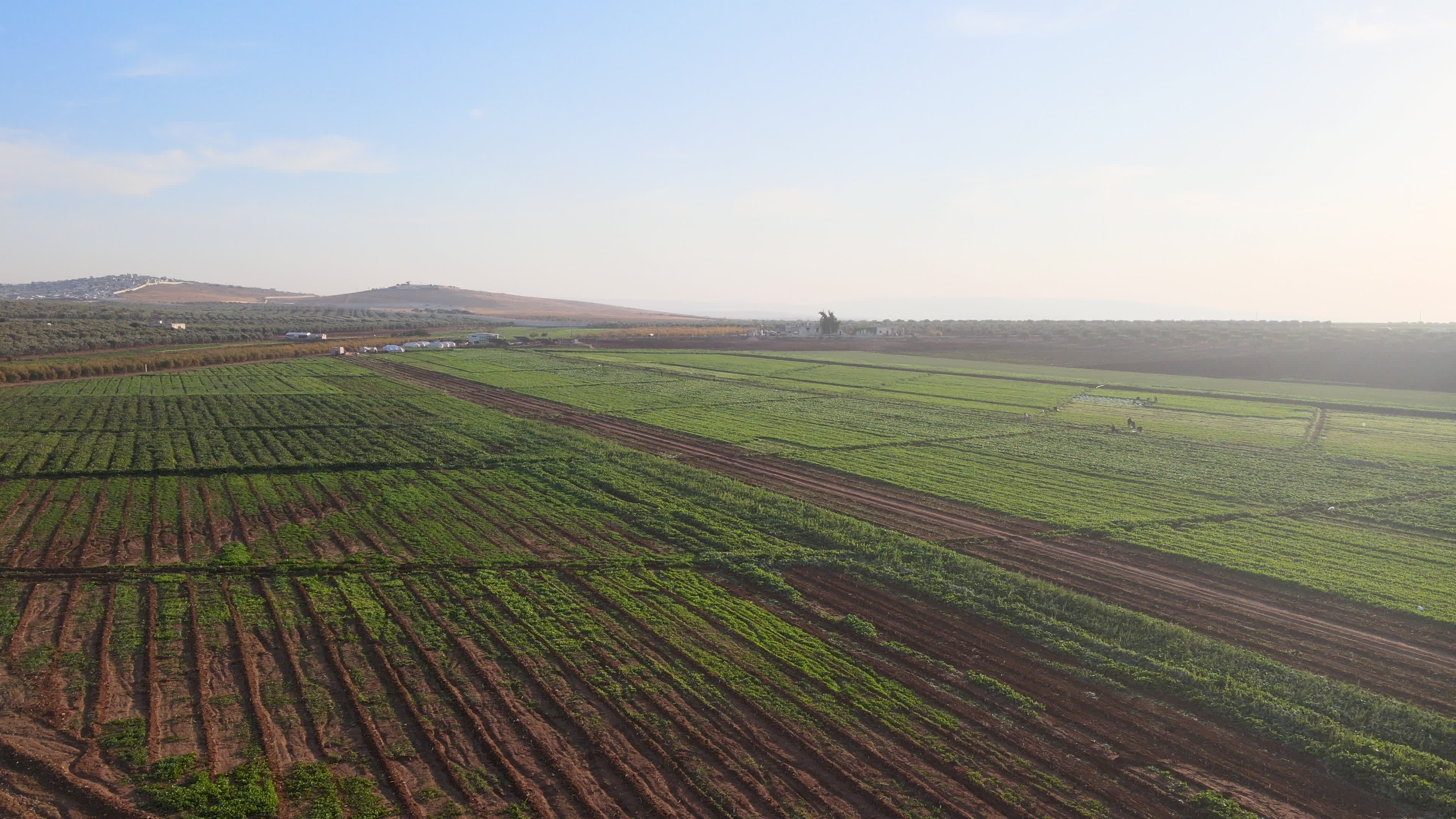 Agricultural fields in northern Syria