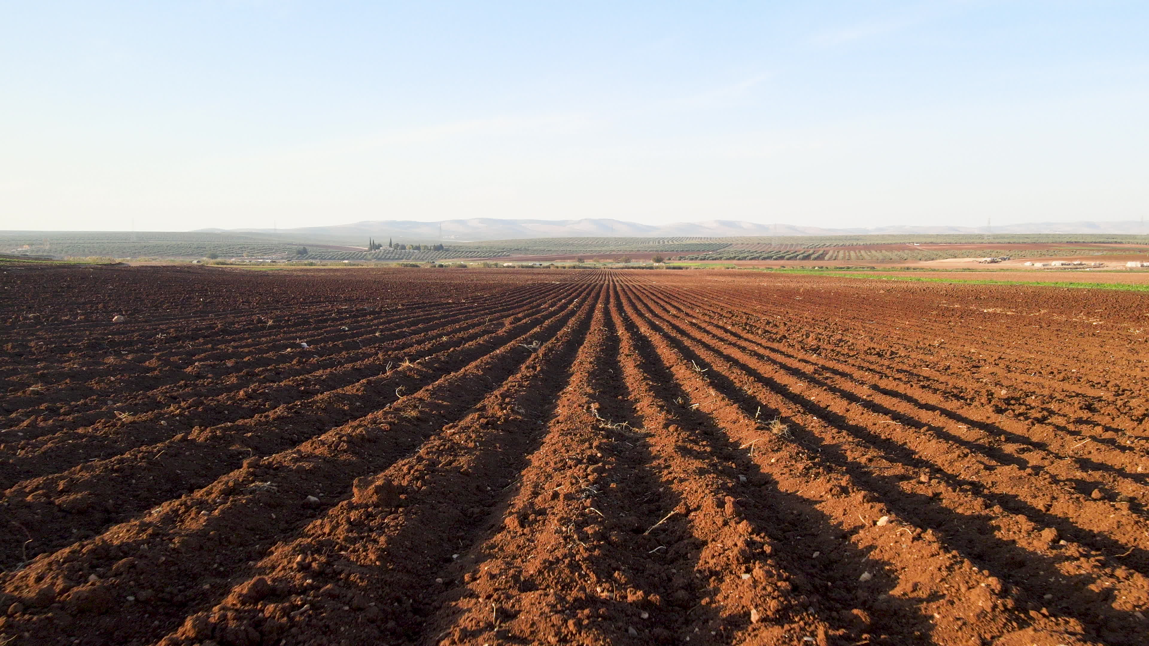 Agricultural fields in northern Syria