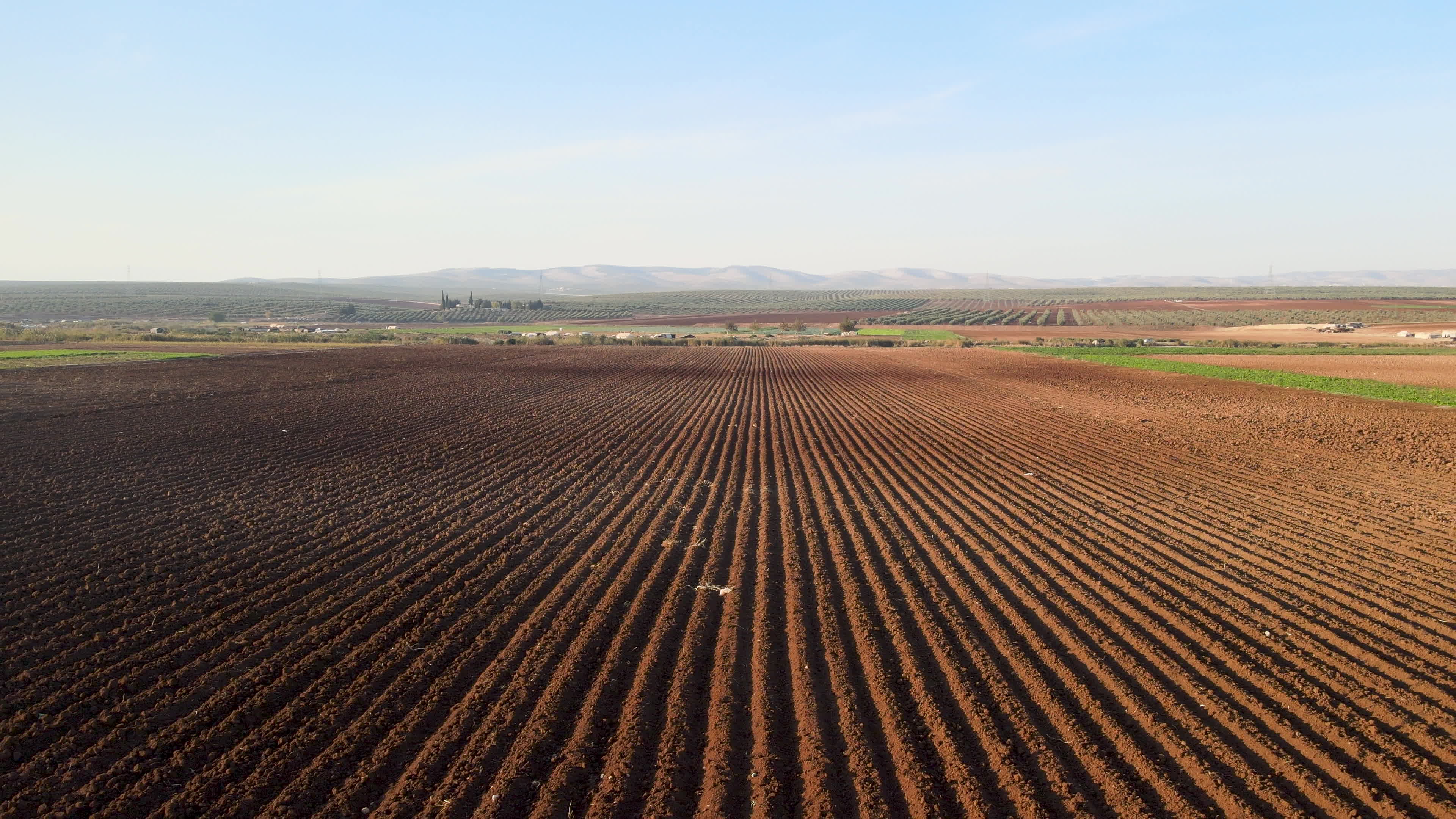Agricultural fields in northern Syria