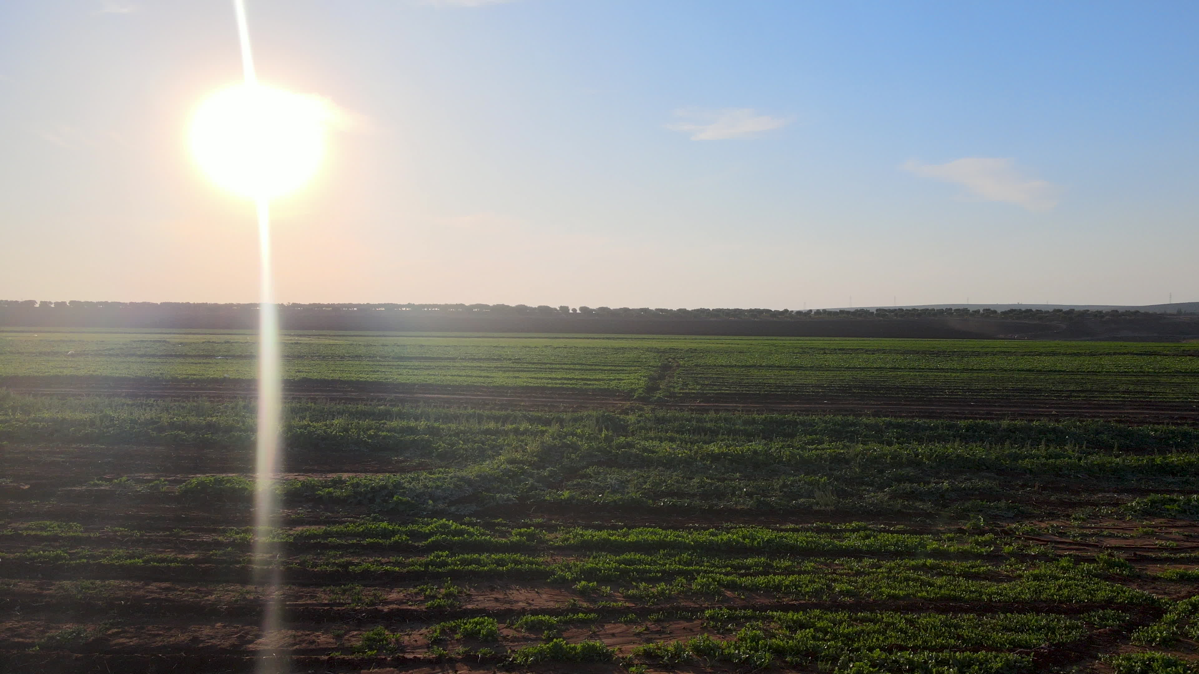 Agricultural fields in northern Syria