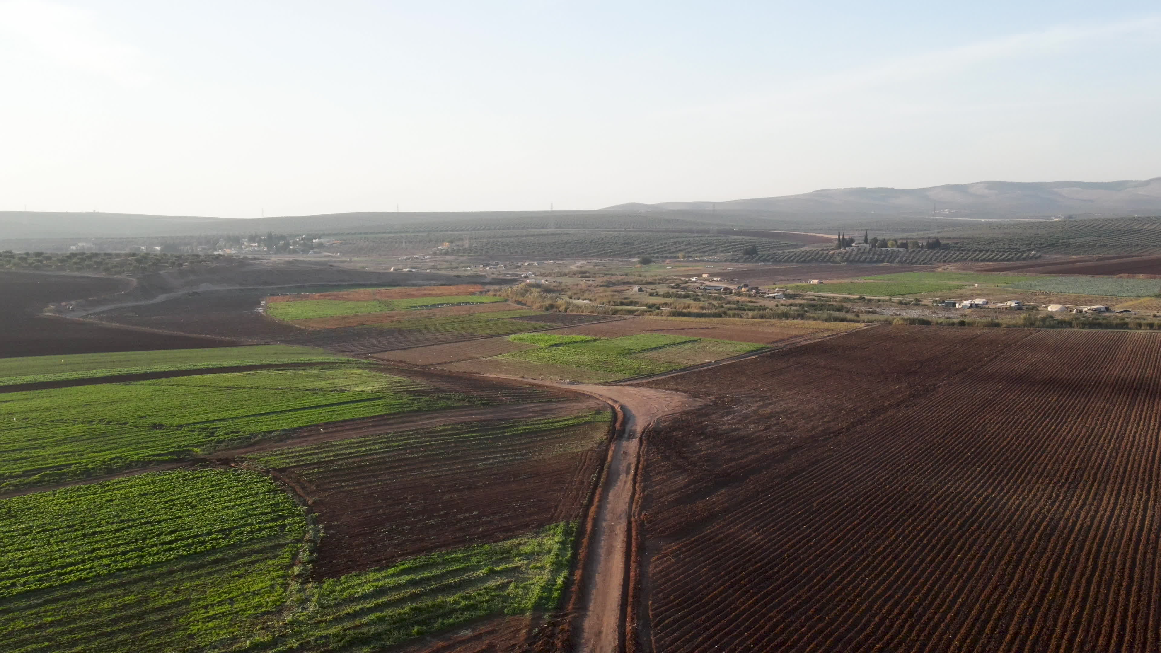 Agricultural fields in northern Syria