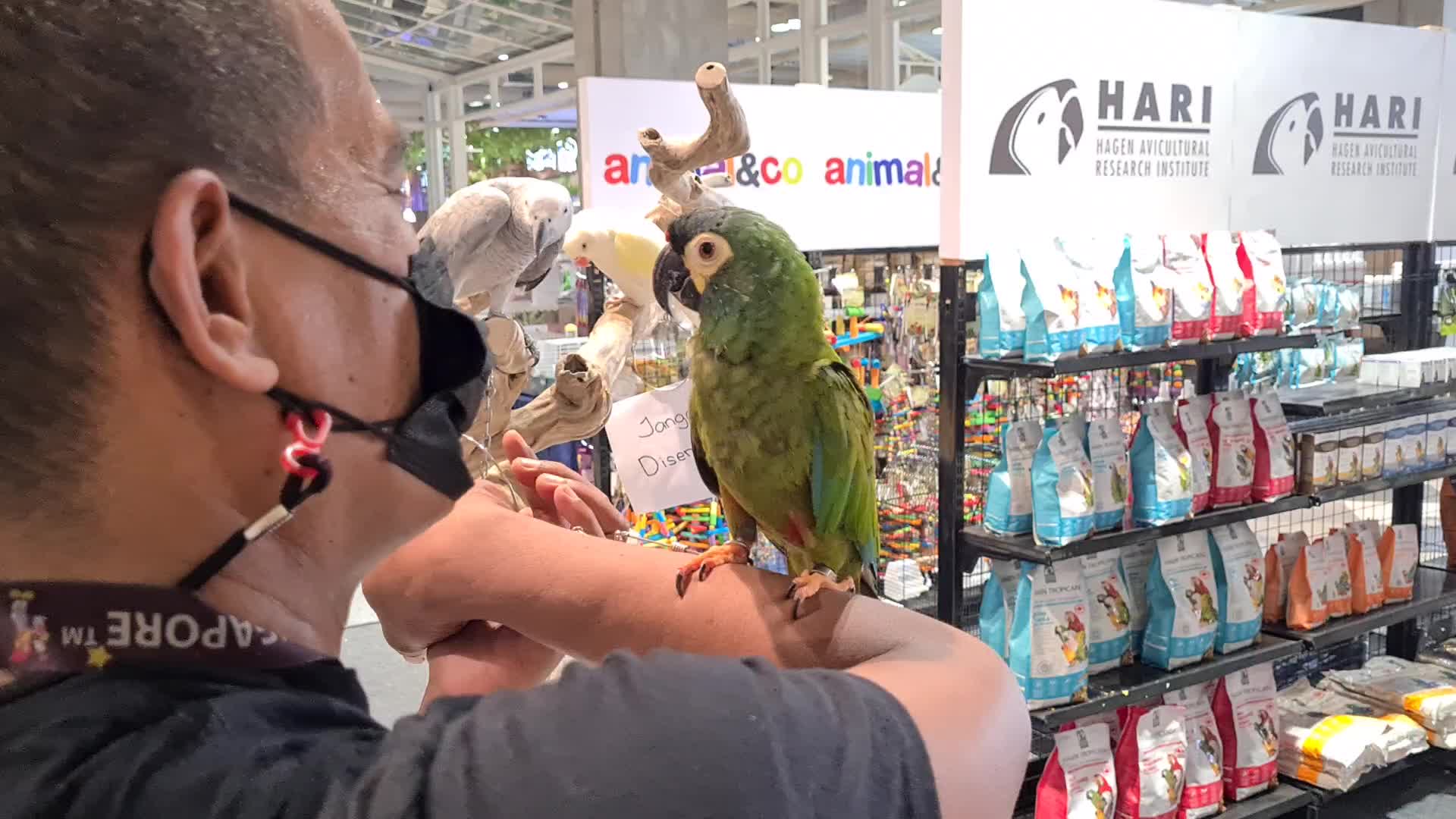 Pet Exhibition in Indonesia