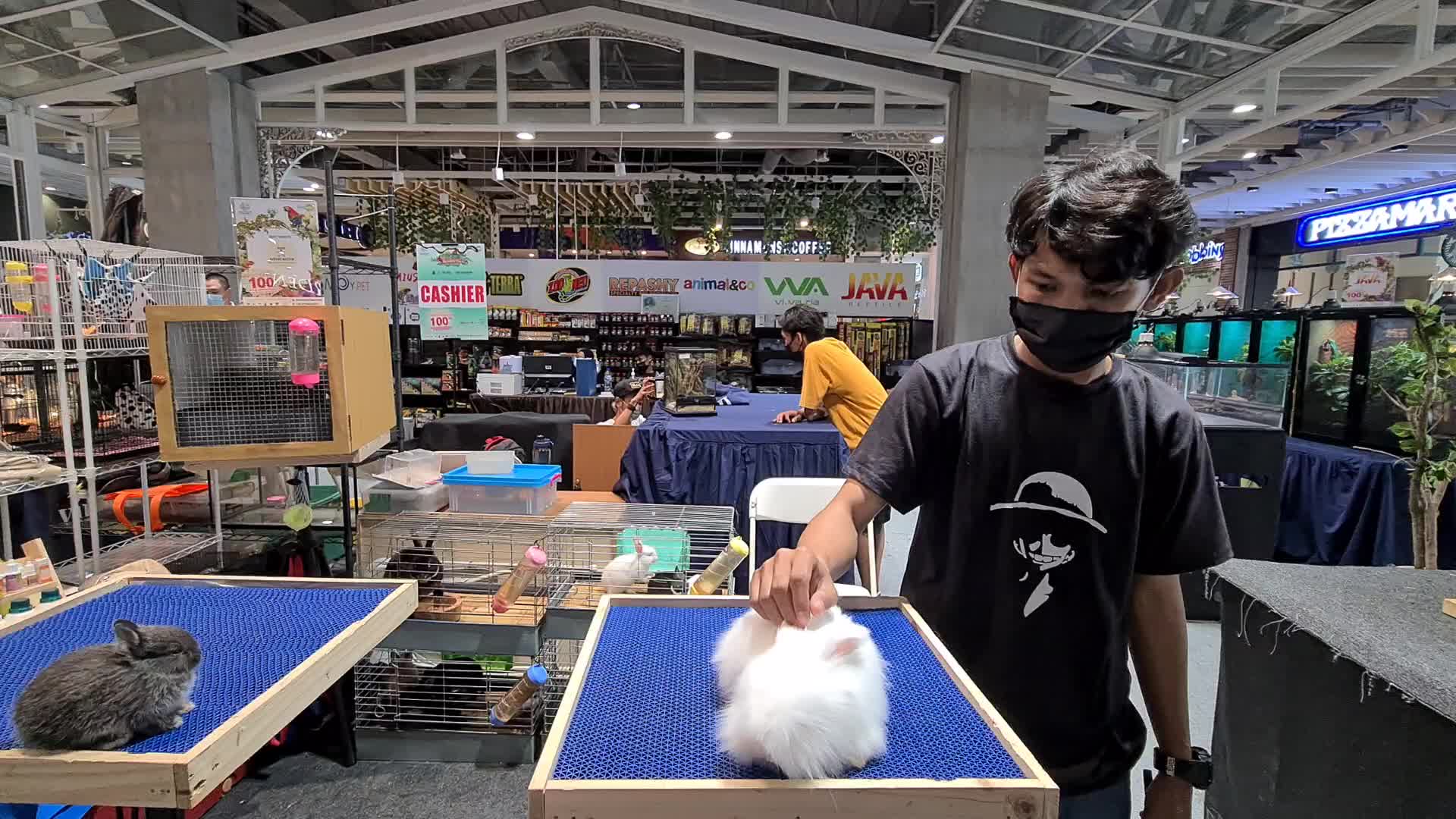 Pet Exhibition in Indonesia