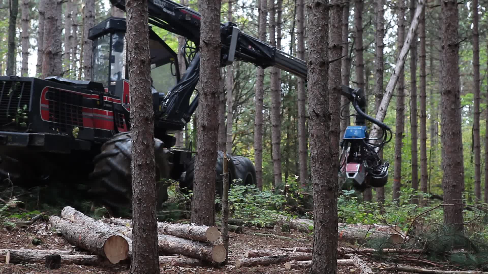 Logging in Canada