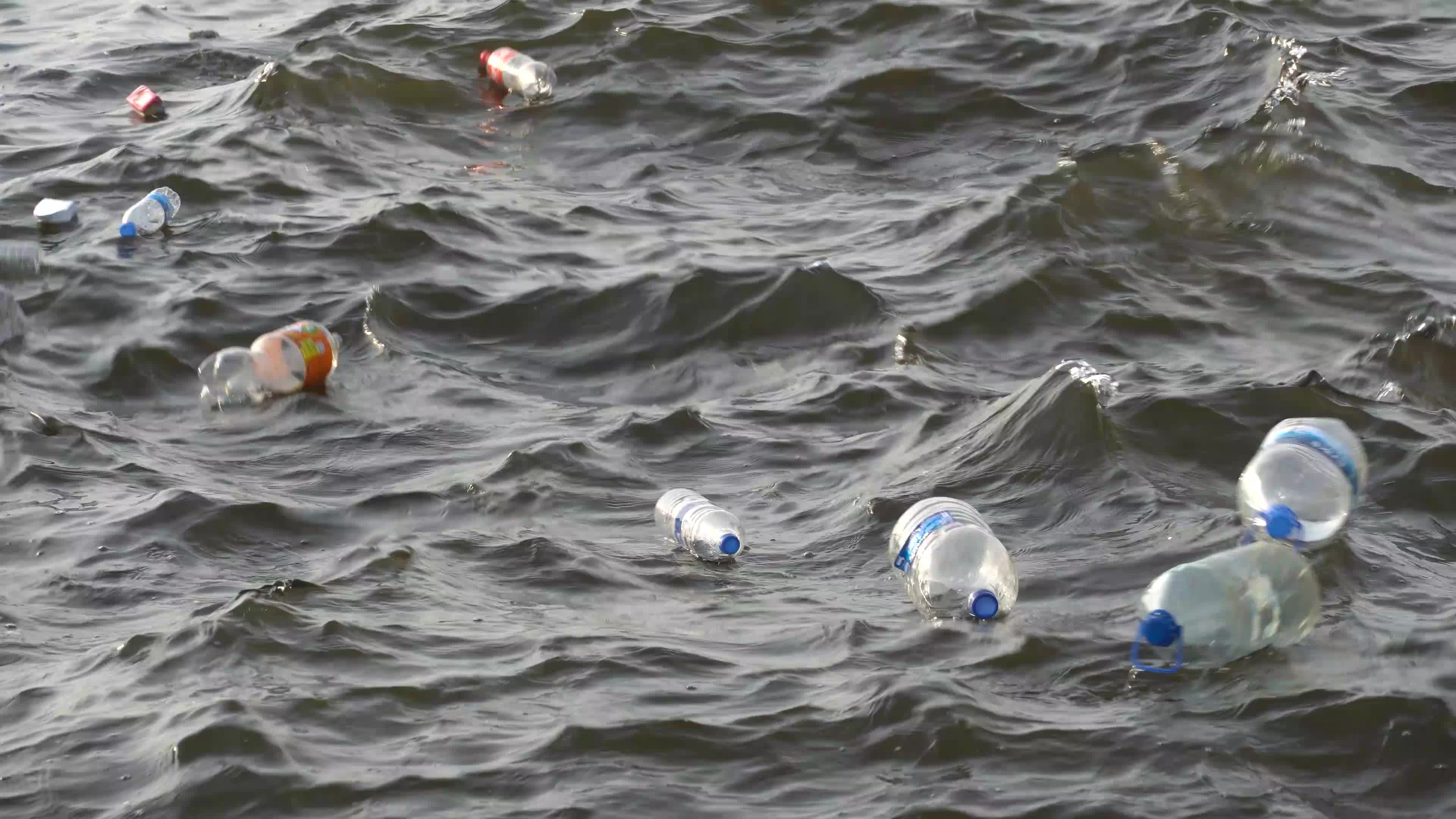 Environmental pollution at the bay of Izmir , Turkey