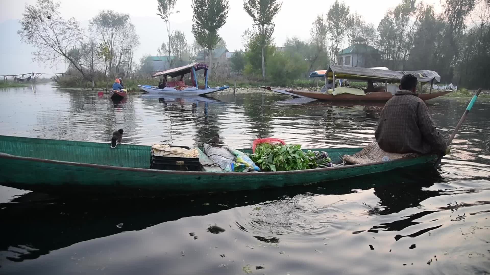 Vegetables Market In Kashmir, India