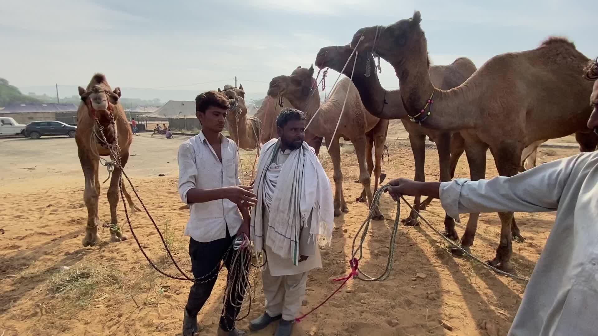 Indian camel traders During the annual Pushkar Camel Fair in Pushkar