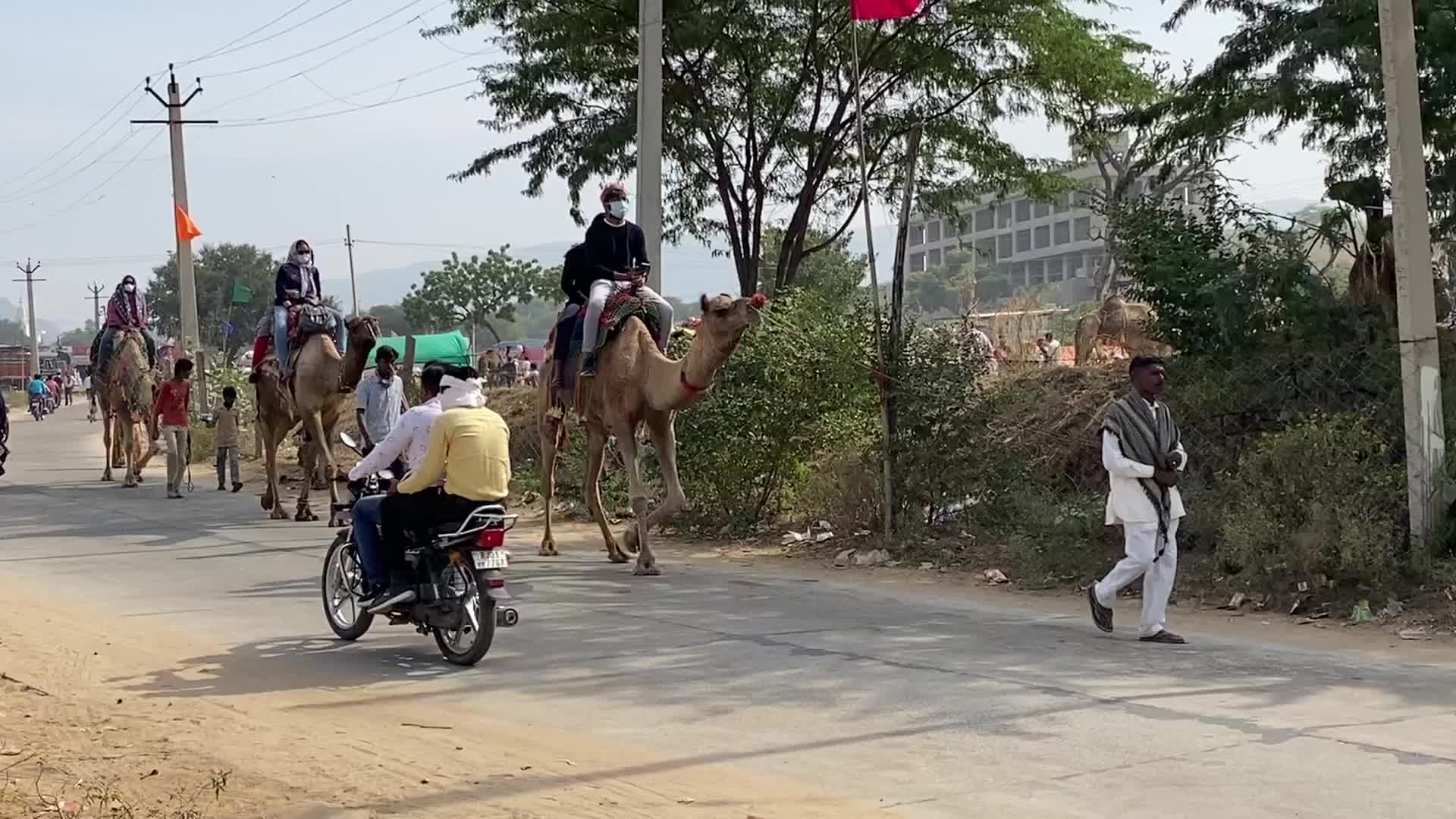 Indian camel traders During the annual Pushkar Camel Fair in Pushkar