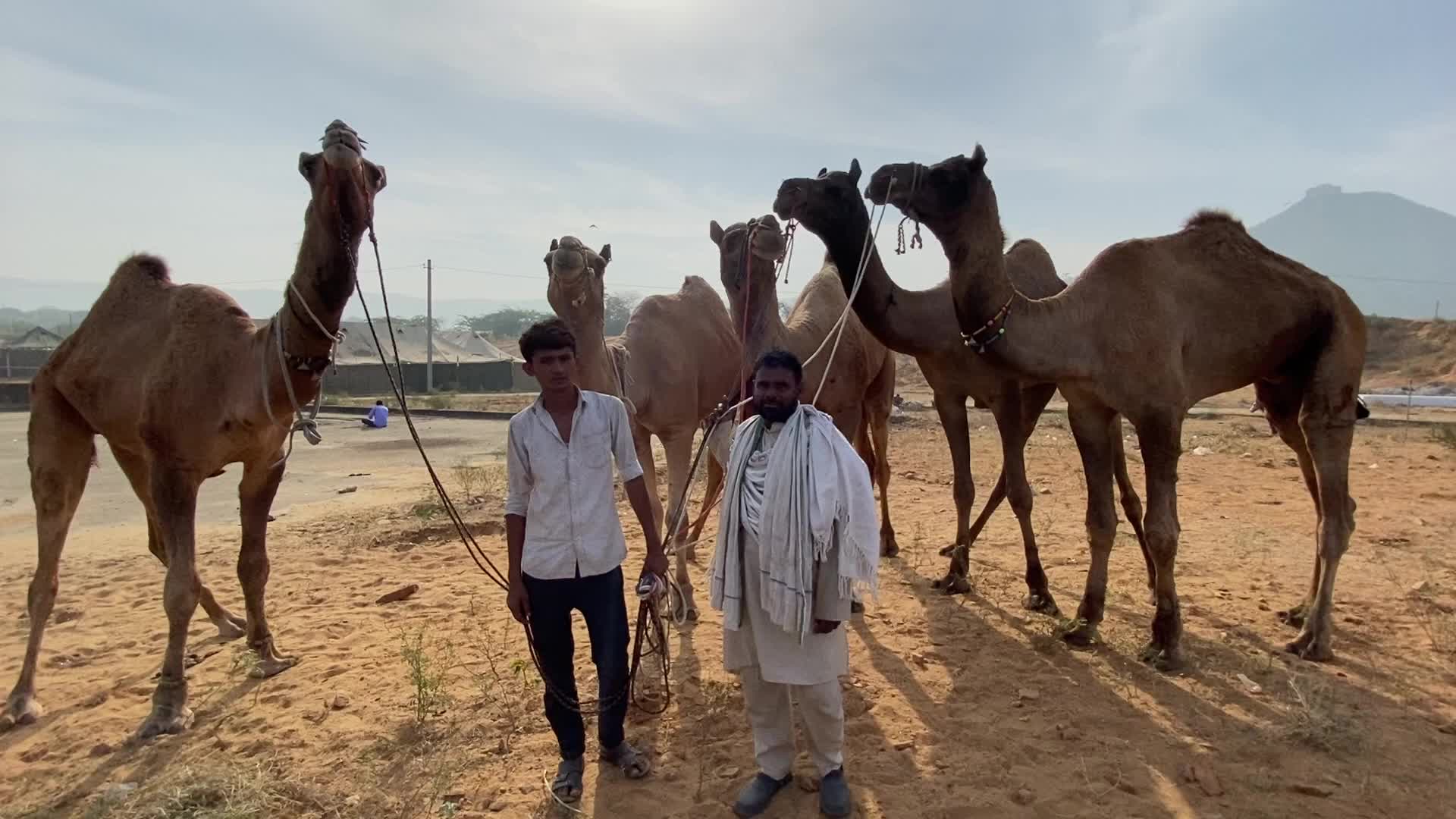Indian camel traders During the annual Pushkar Camel Fair in Pushkar