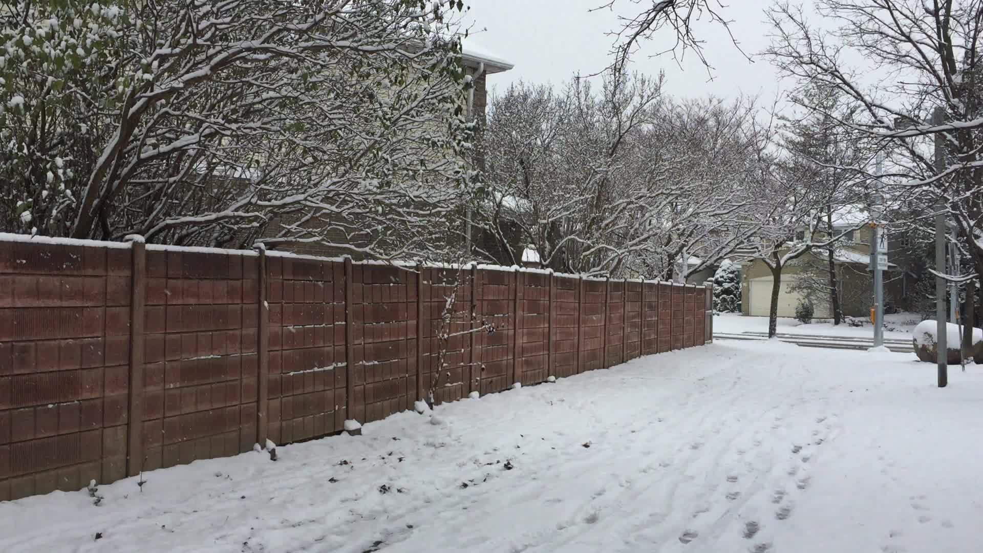 First snowstorm of the season in Toronto