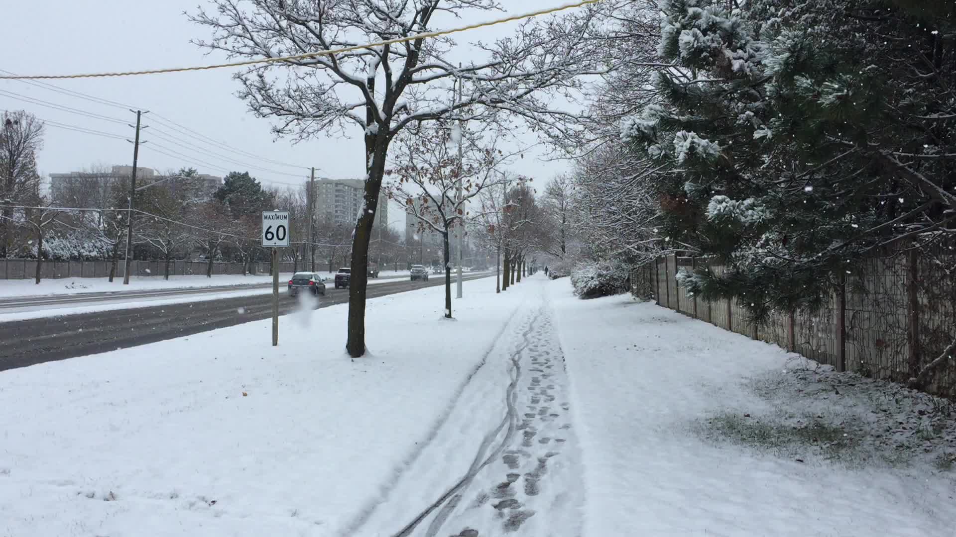 First snowstorm of the season in Toronto