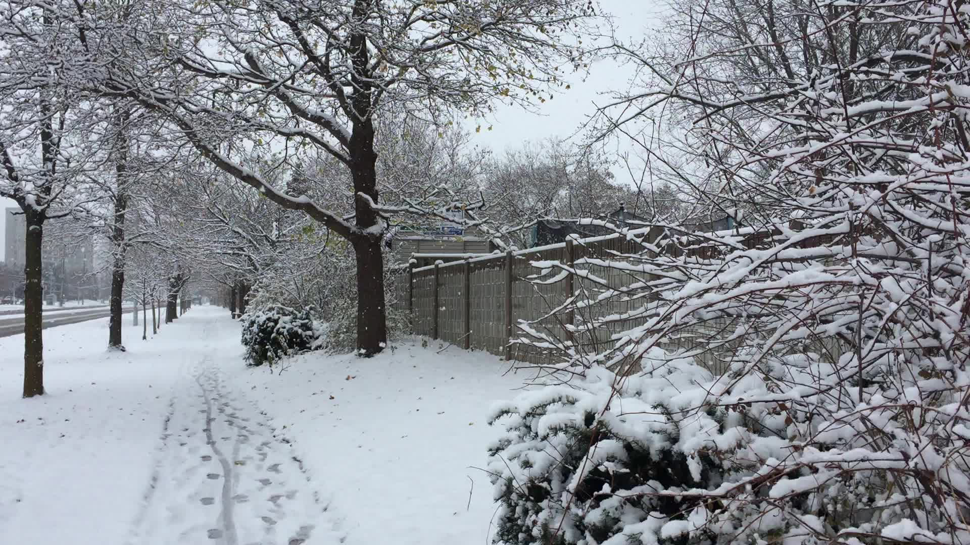 First snowstorm of the season in Toronto