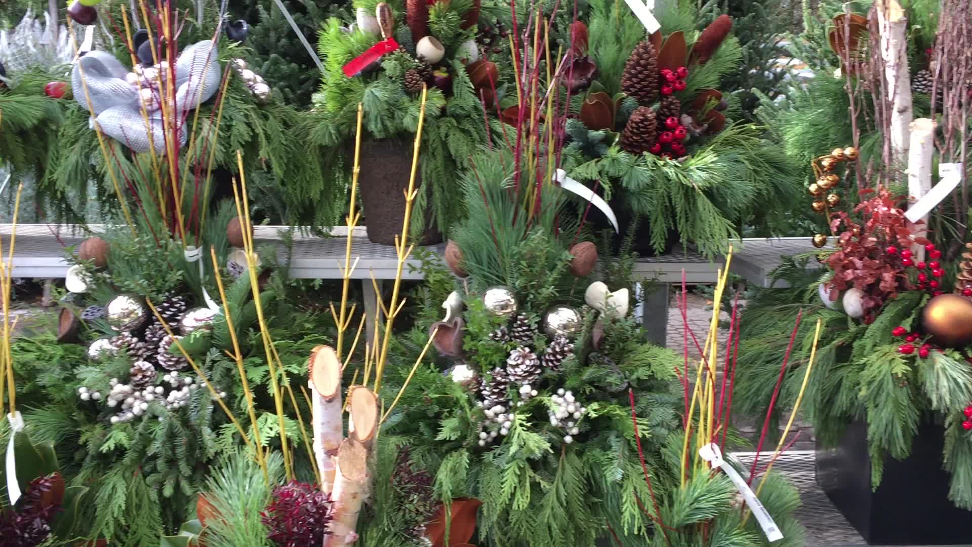 Christmas season in Toronto