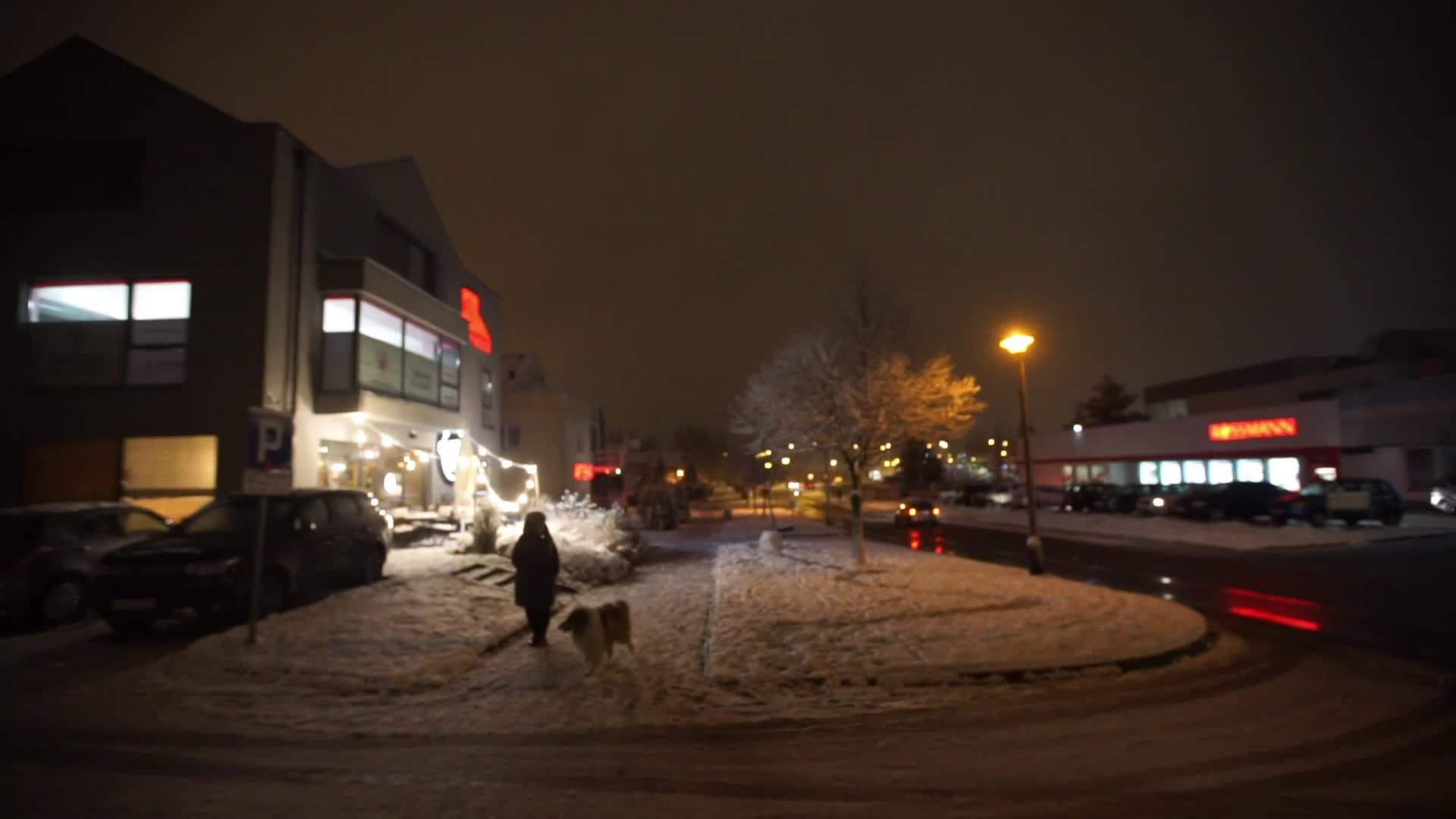 Winter Came To Gdansk, Poland